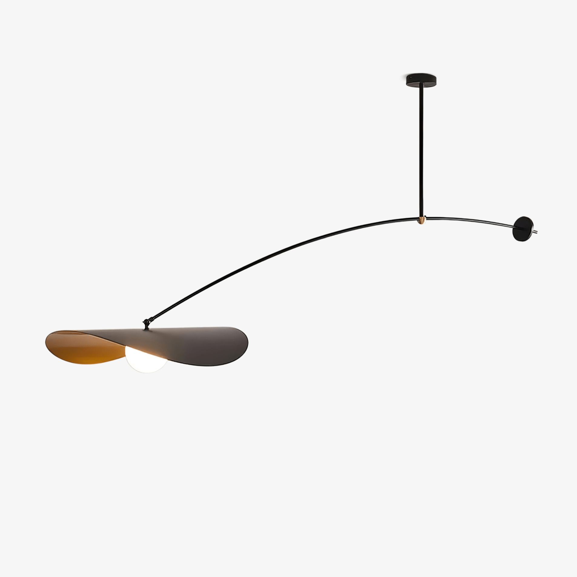 Arcflow Dynamic Metal Curve Pendant Light - Blowlighting