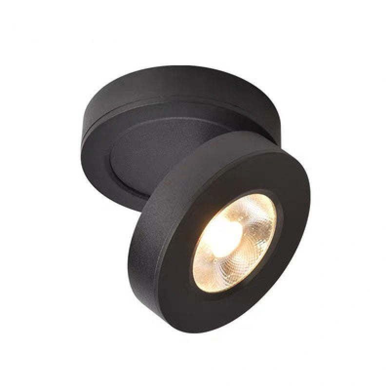 Arisha Moderna LED Rotonda Piccolo Metallo Plafoniera Bianco/Nero Corridoio/Soggiorno/Camera da Letto