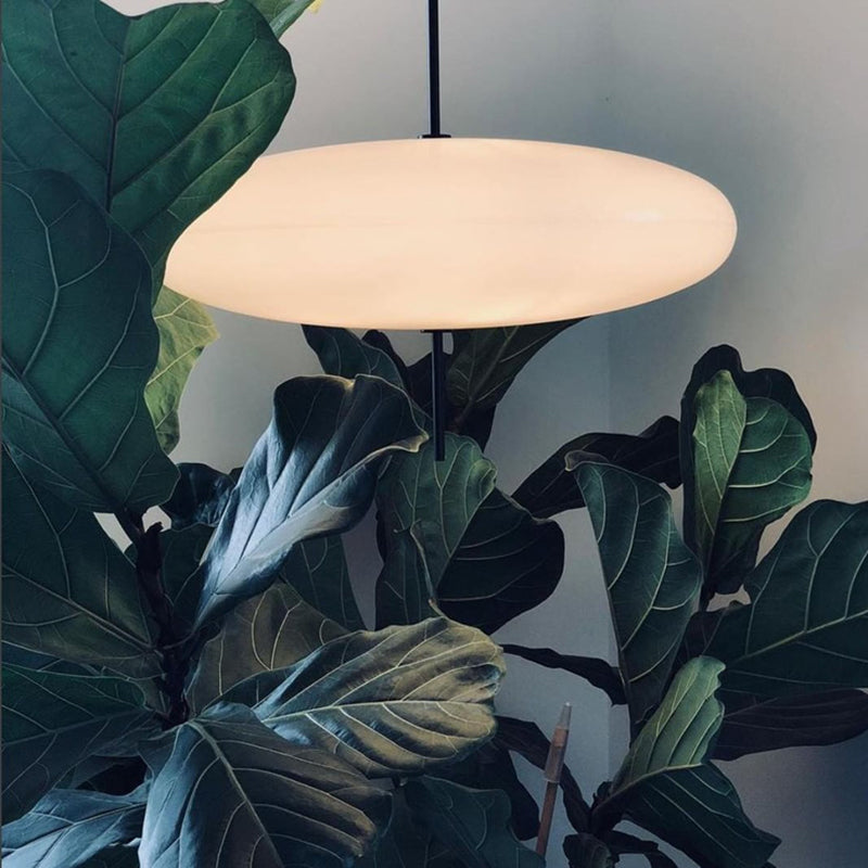 Ritta Nordico LED Moderna Lampada a Sospensione Ovale Singola