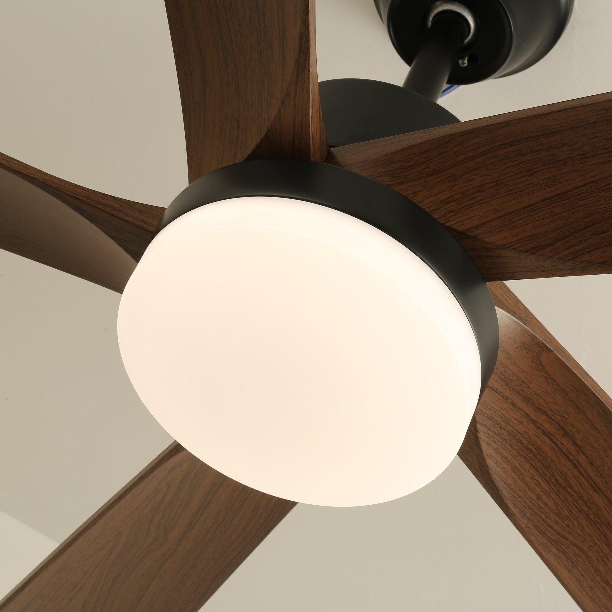 Ventilatore da soffitto Eryndor visto dal basso, con LED e ventola