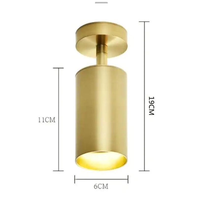 Arisha Moderna lED Piccolo Applique/Plafoniere Metallo Ora Cilindro Soggiorno/Camera da Letto