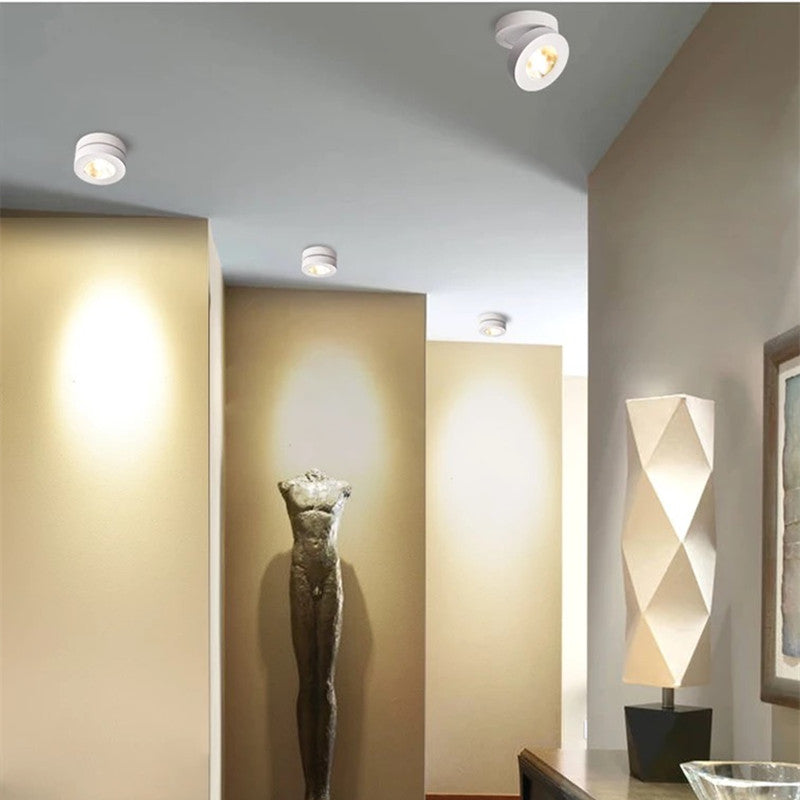 Arisha Moderna LED Rotonda Piccolo Metallo Plafoniera Bianco/Nero Corridoio/Soggiorno/Camera da Letto