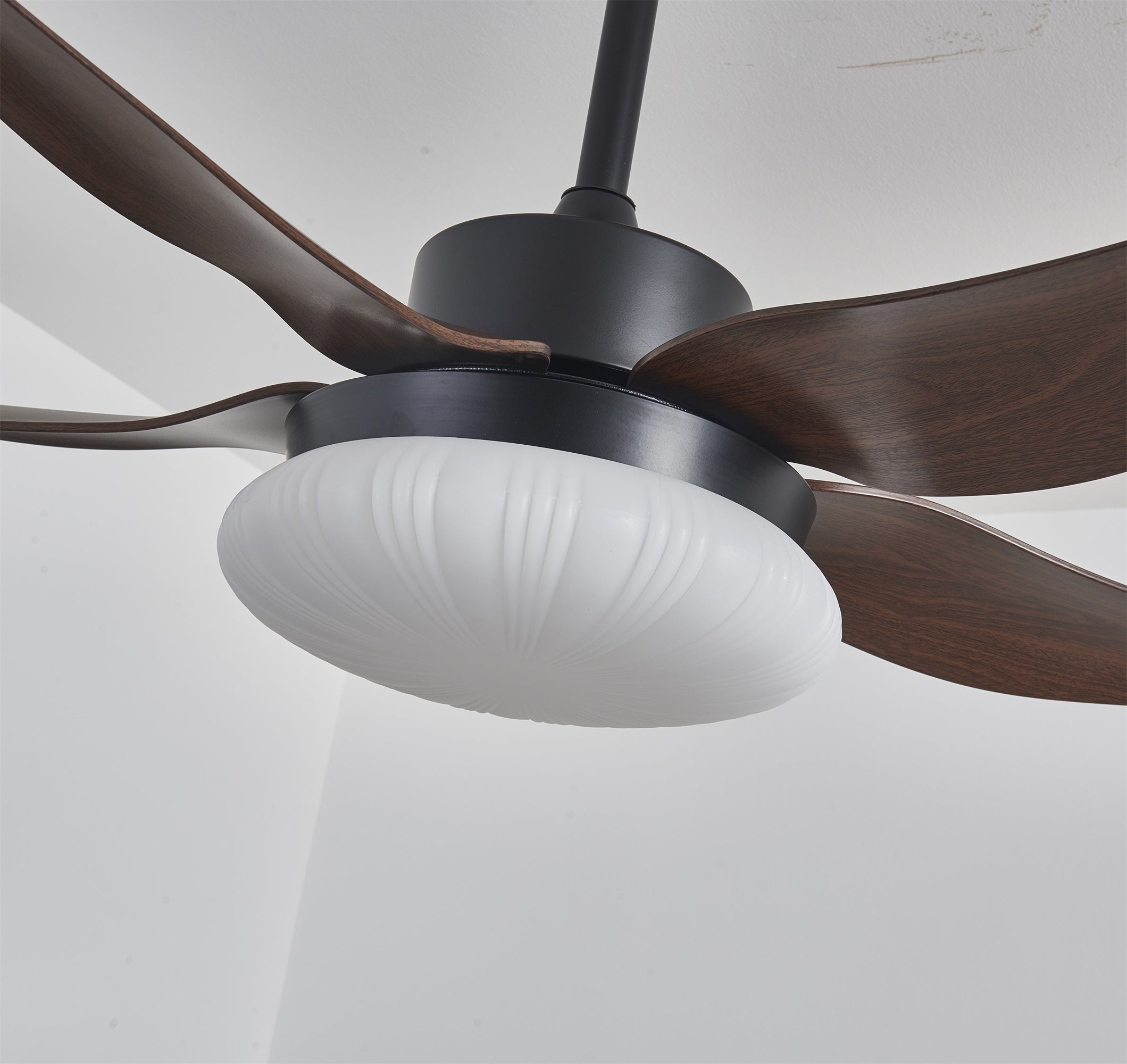 Ventilatore da soffitto Zerith con luce, dettaglio della costruzione con grado di protezione IP20 (resistente all'umidità)