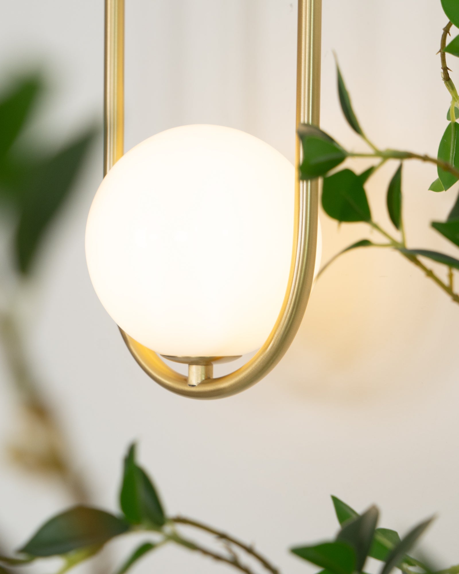 Wall Lamp with Brass Loop Frame and Glass Globe - Letslighting