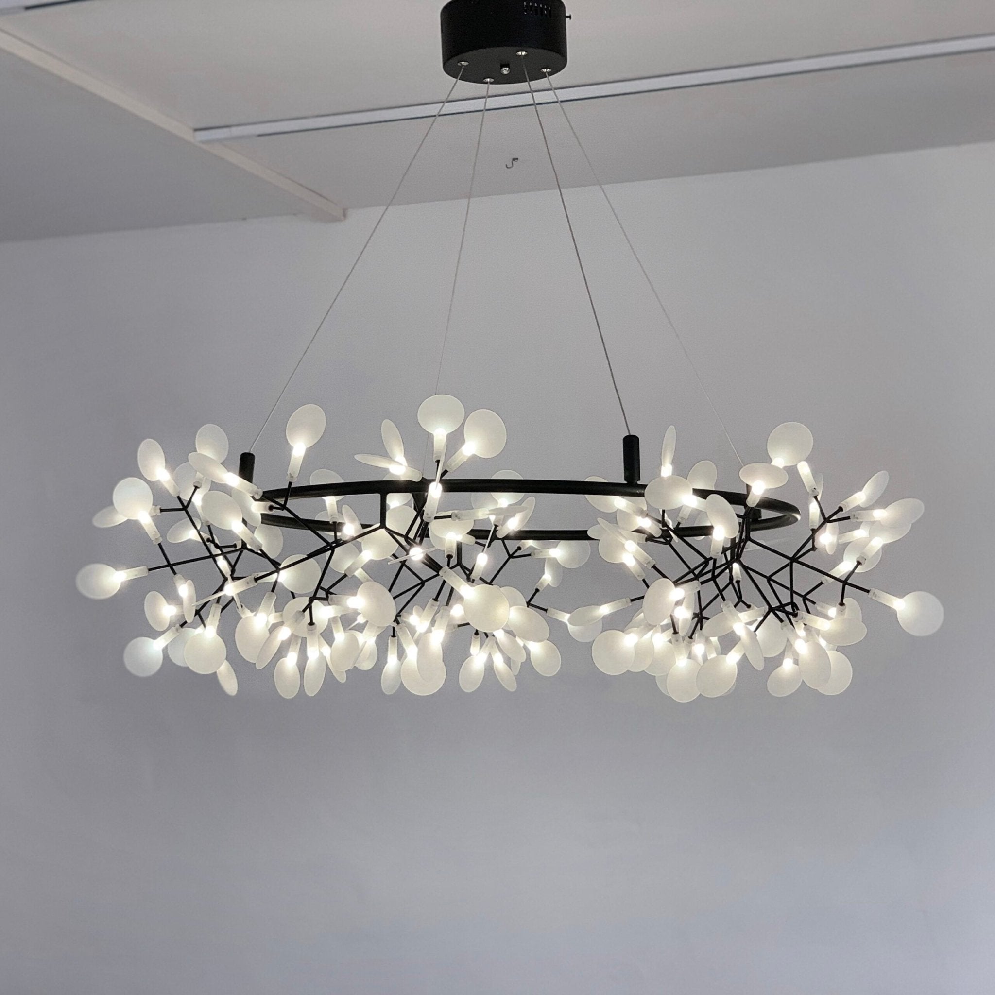 Black Big O Firefly LED Chandelier - Blowlighting