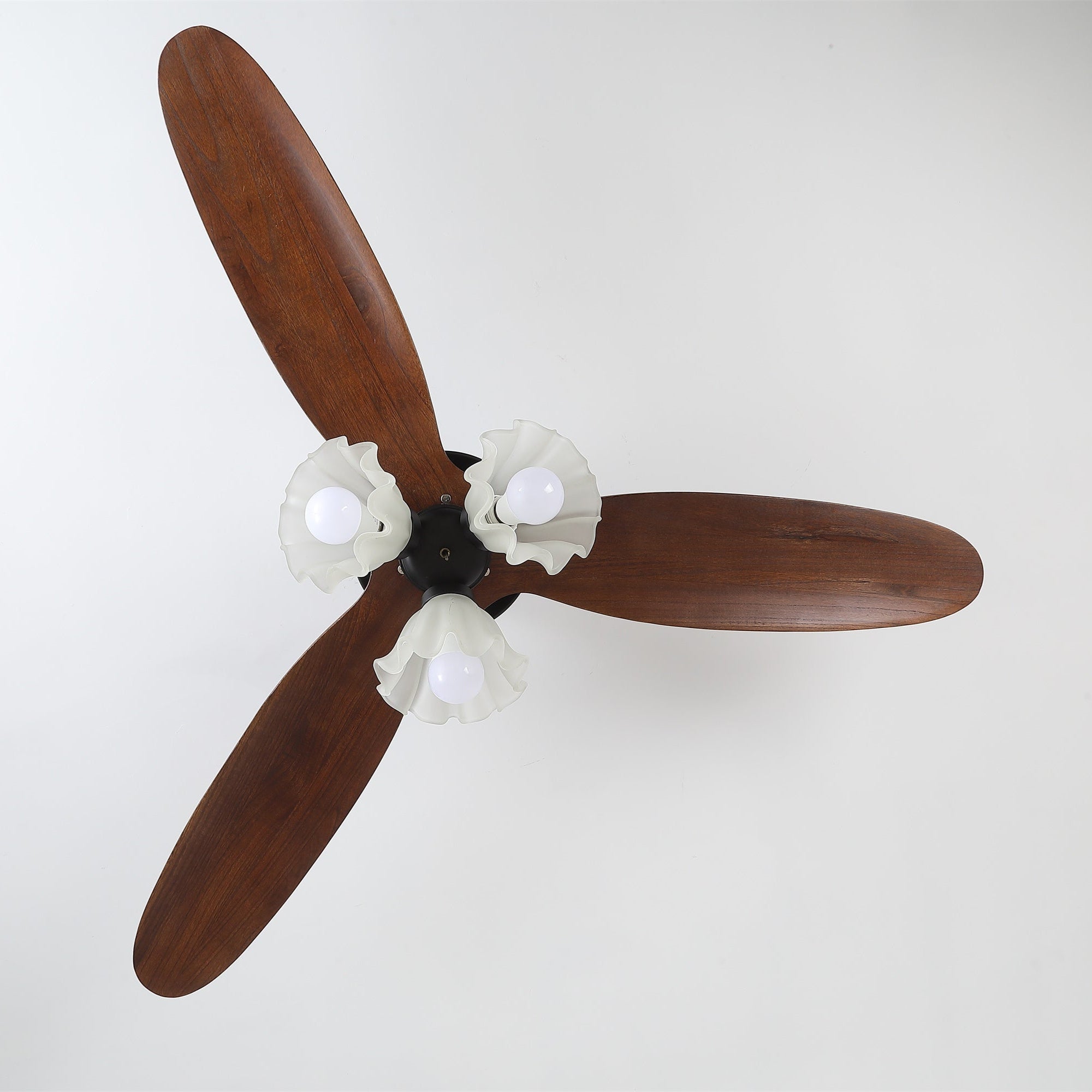 Dettaglio dell'alloggiamento del motore in rame puro sul ventilatore da soffitto.