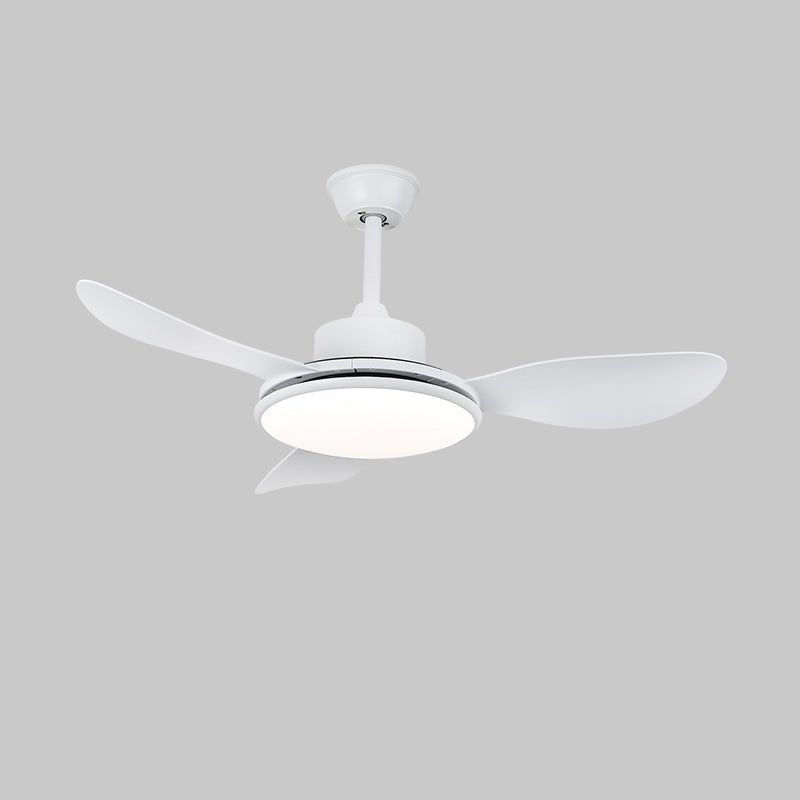 Dettaglio del motore in rame puro del Ventilatore da Soffitto con Luce Tirenor in Legno