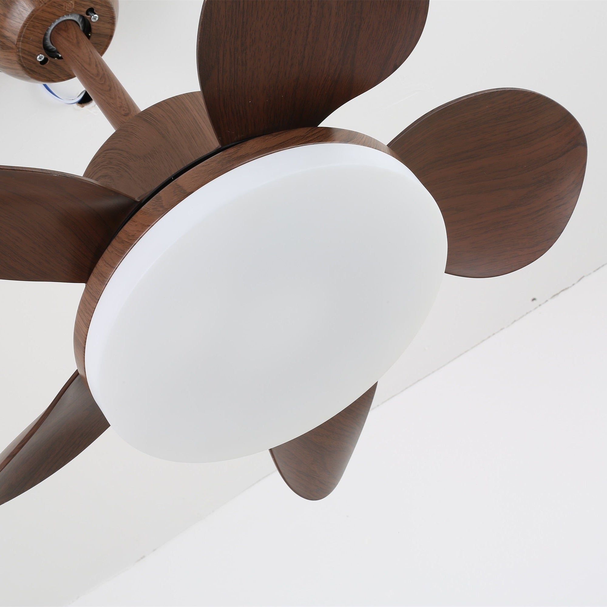 Ventilatore Alenya con luce che mostra il suo design IP20 adatto ad ambienti umidi