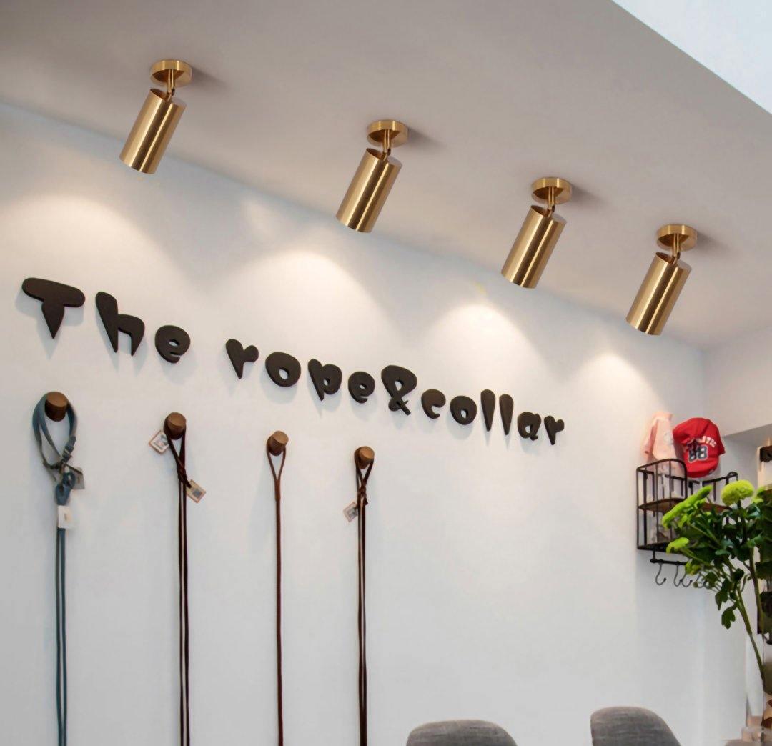 Rotatable Spotlight Wall Light - Blowlighting