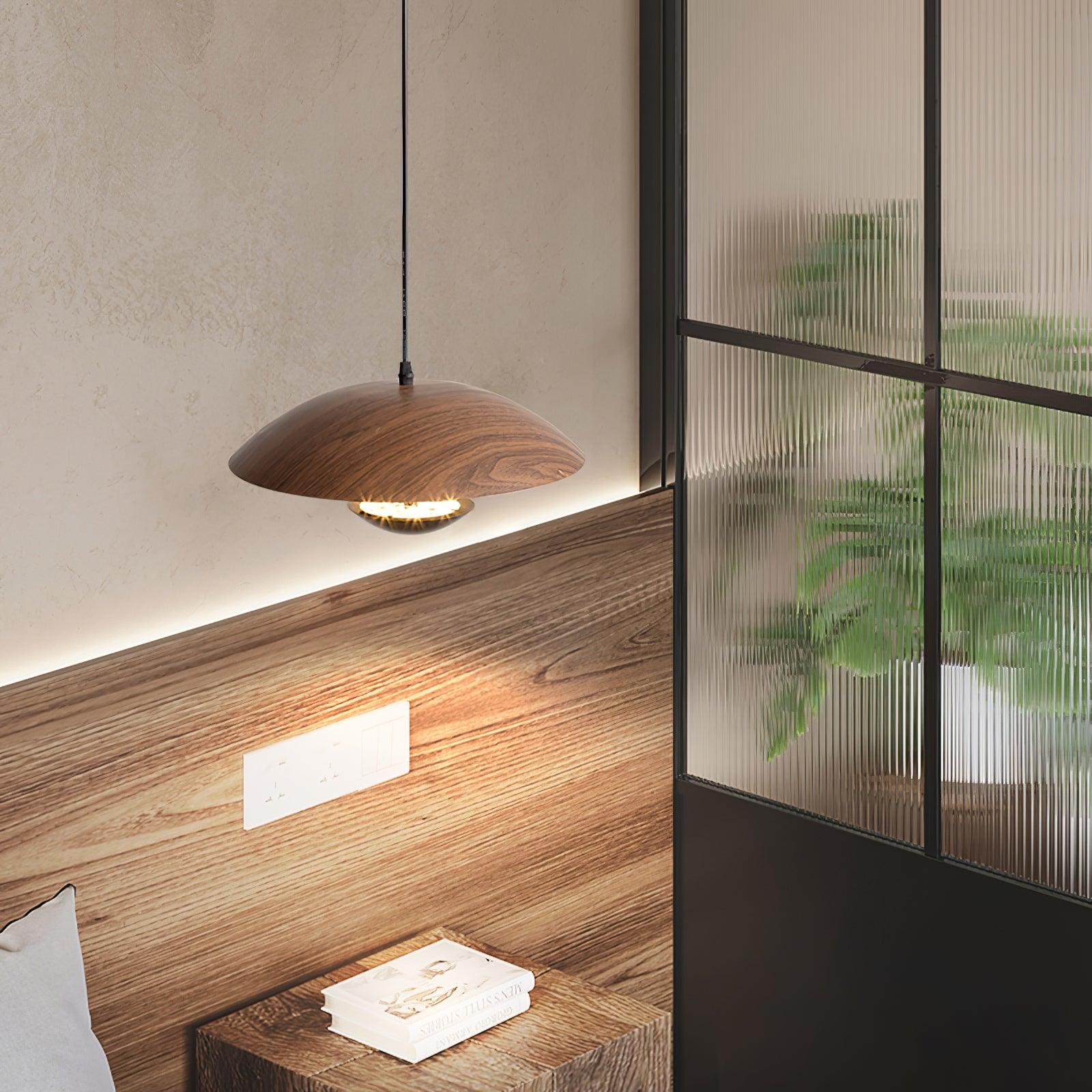 Frisbee Pendant Lamp - Blowlighting