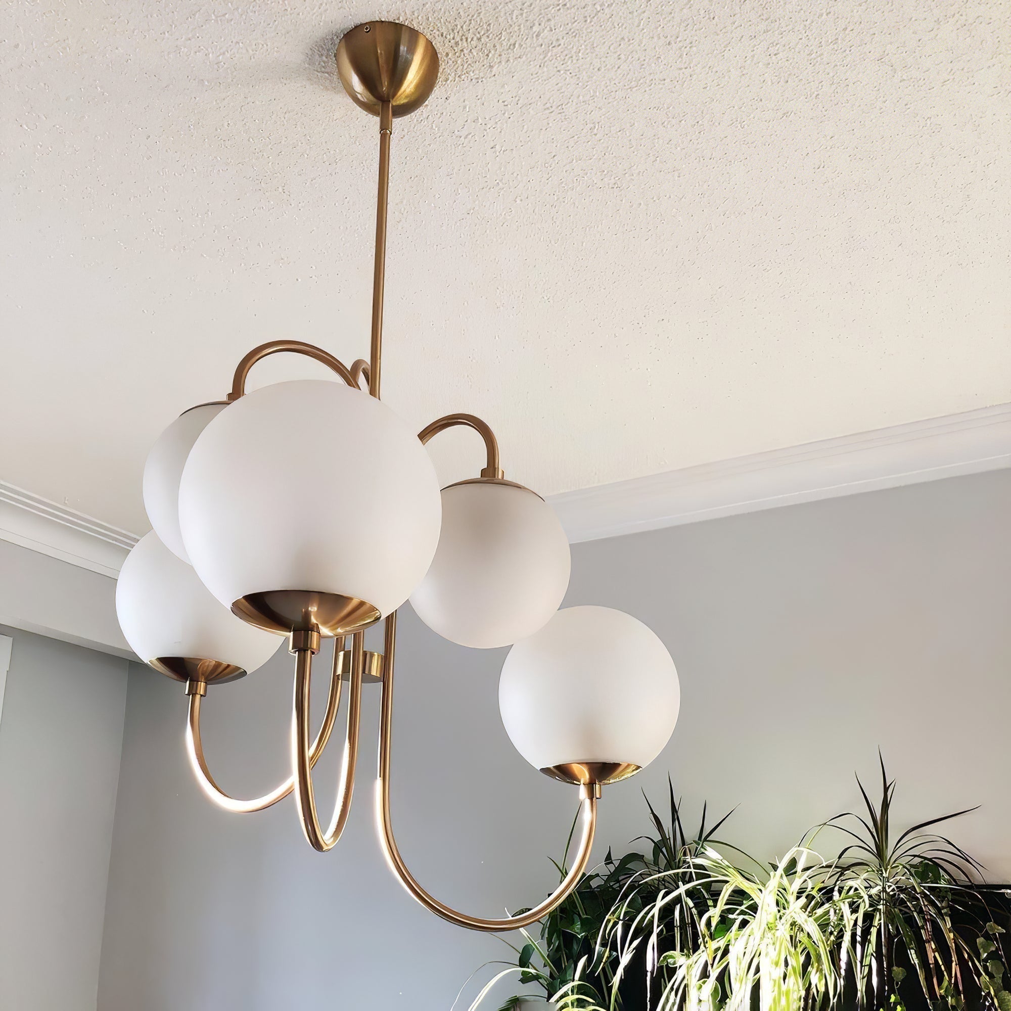 Zathaor Individual Creativity Metal Glass Chandelier - Lamp Copper