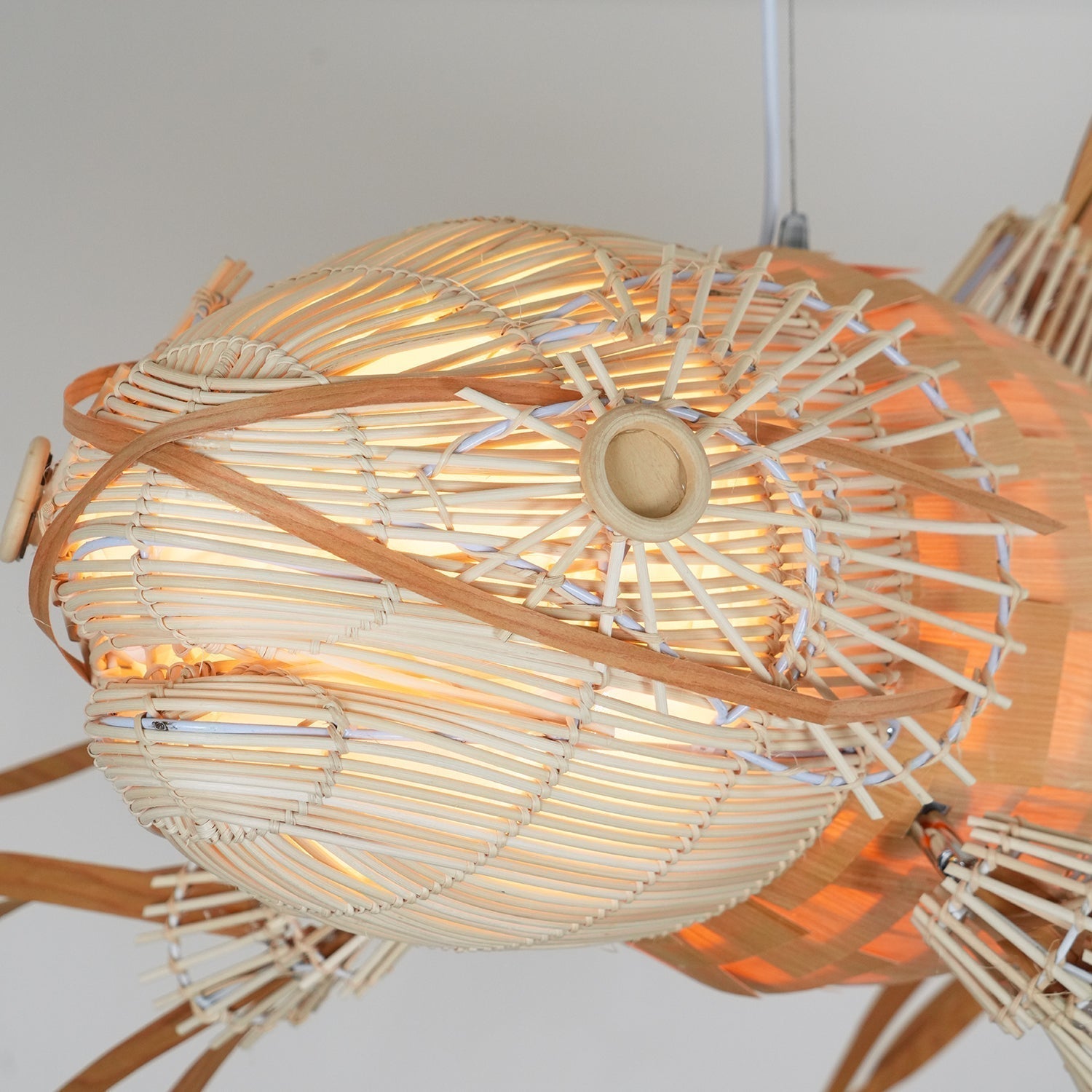 Koi Chandelier - Blowlighting