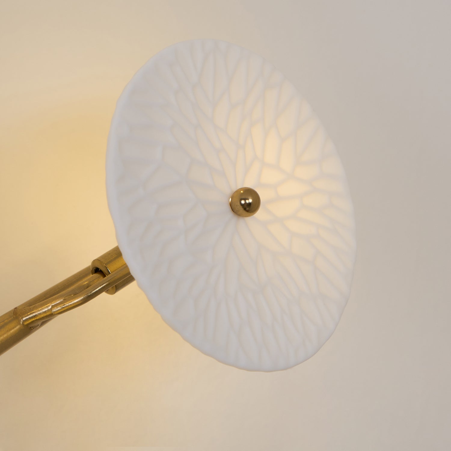 Lotus Petal Wall Lamp - Blowlighting