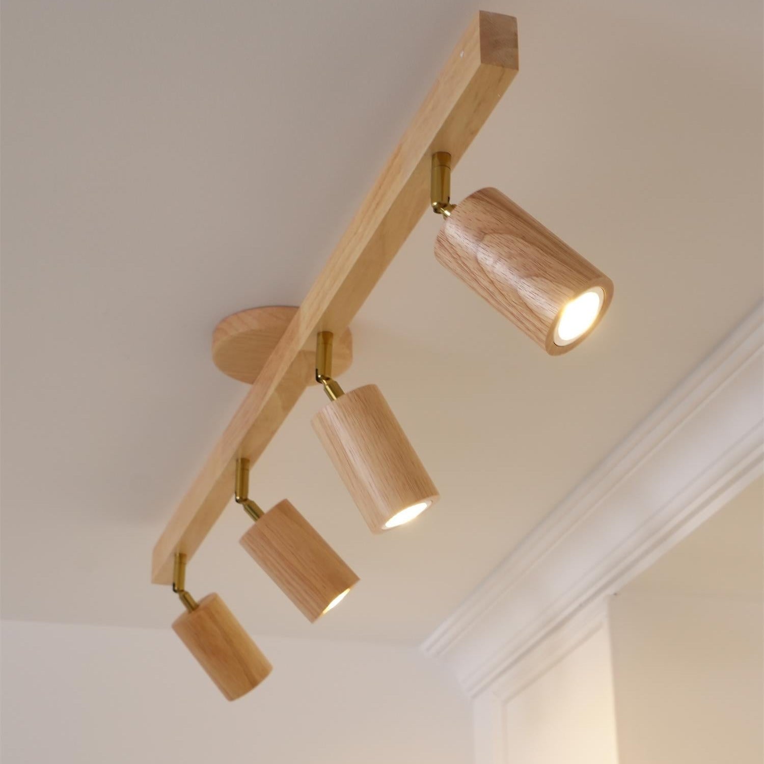 Aim Illuminazione a Binario Classica in Legno con Faretto