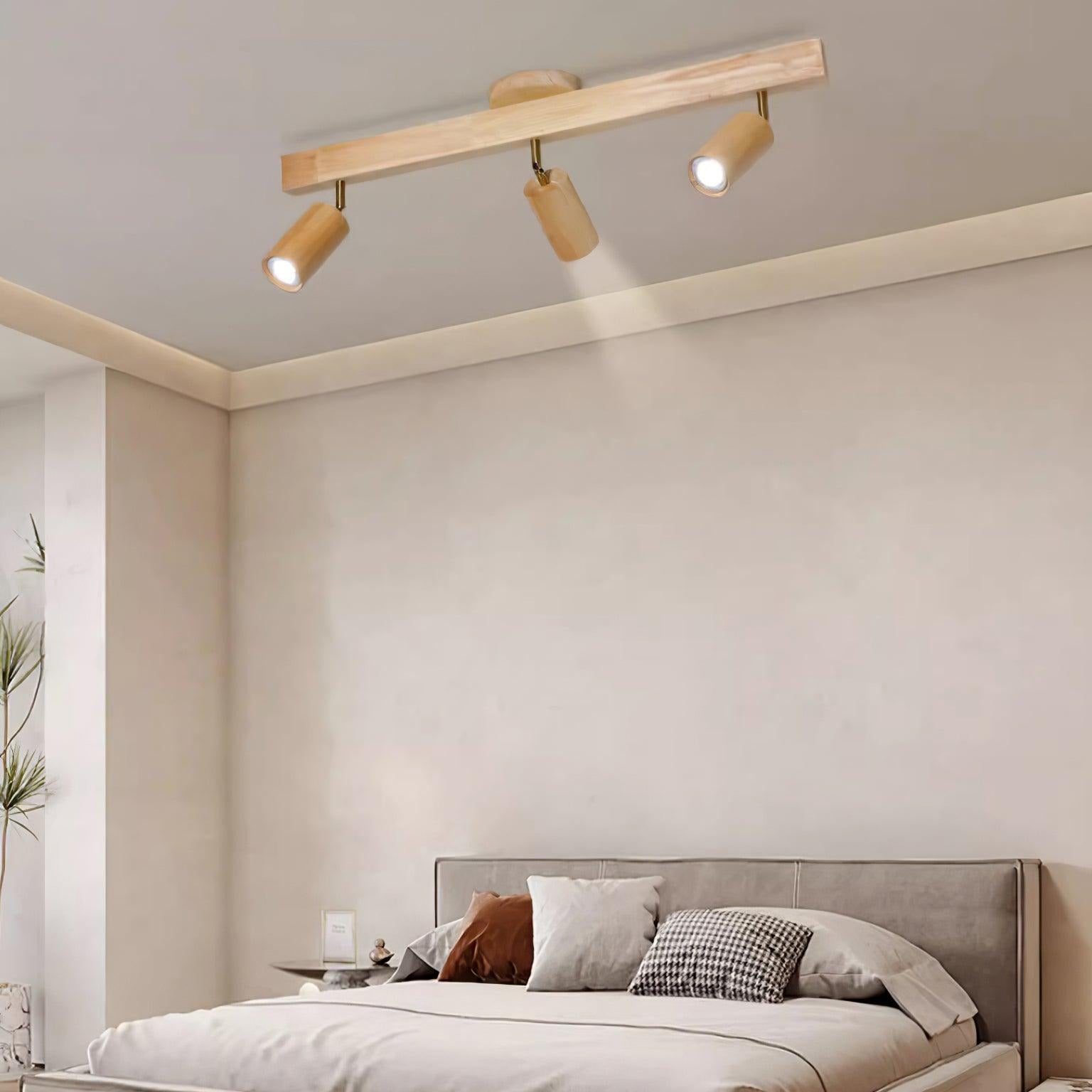 Aim Illuminazione a Binario Classica in Legno con Faretto
