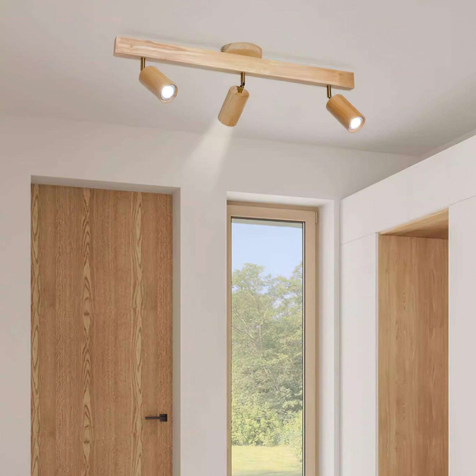 Aim Illuminazione a Binario Classica in Legno con Faretto
