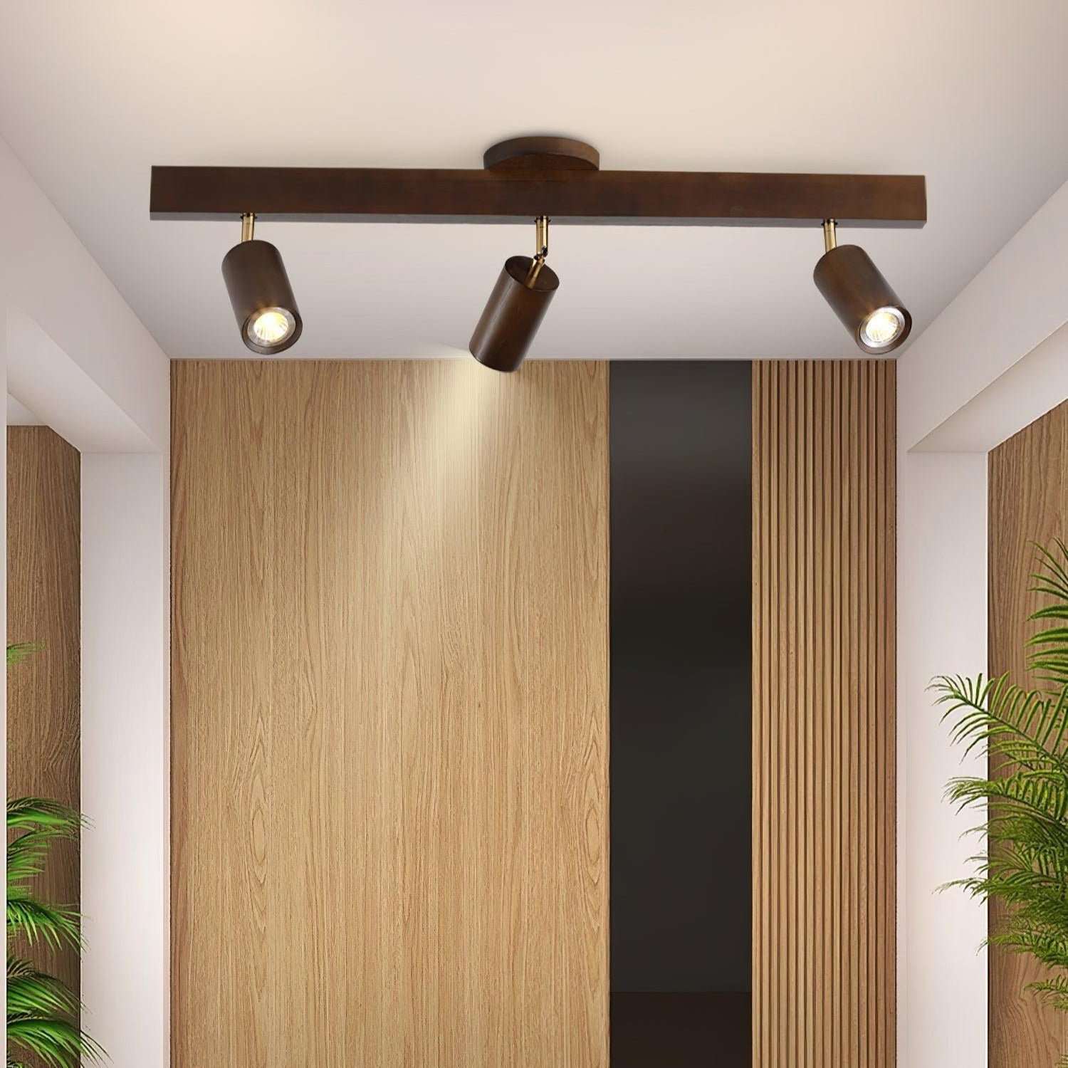 Aim Illuminazione a Binario Classica in Legno con Faretto