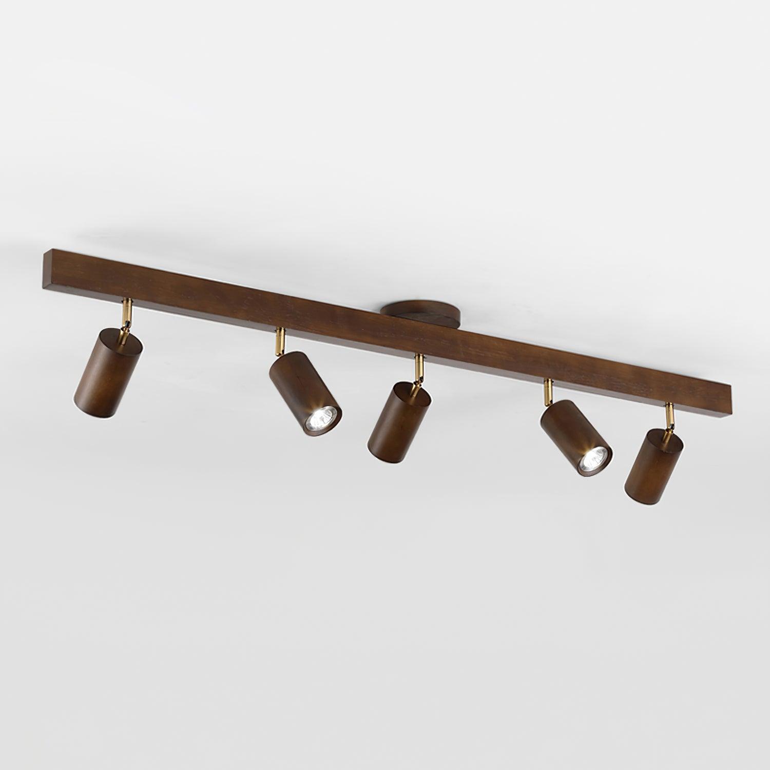 Aim Illuminazione a Binario Classica in Legno con Faretto