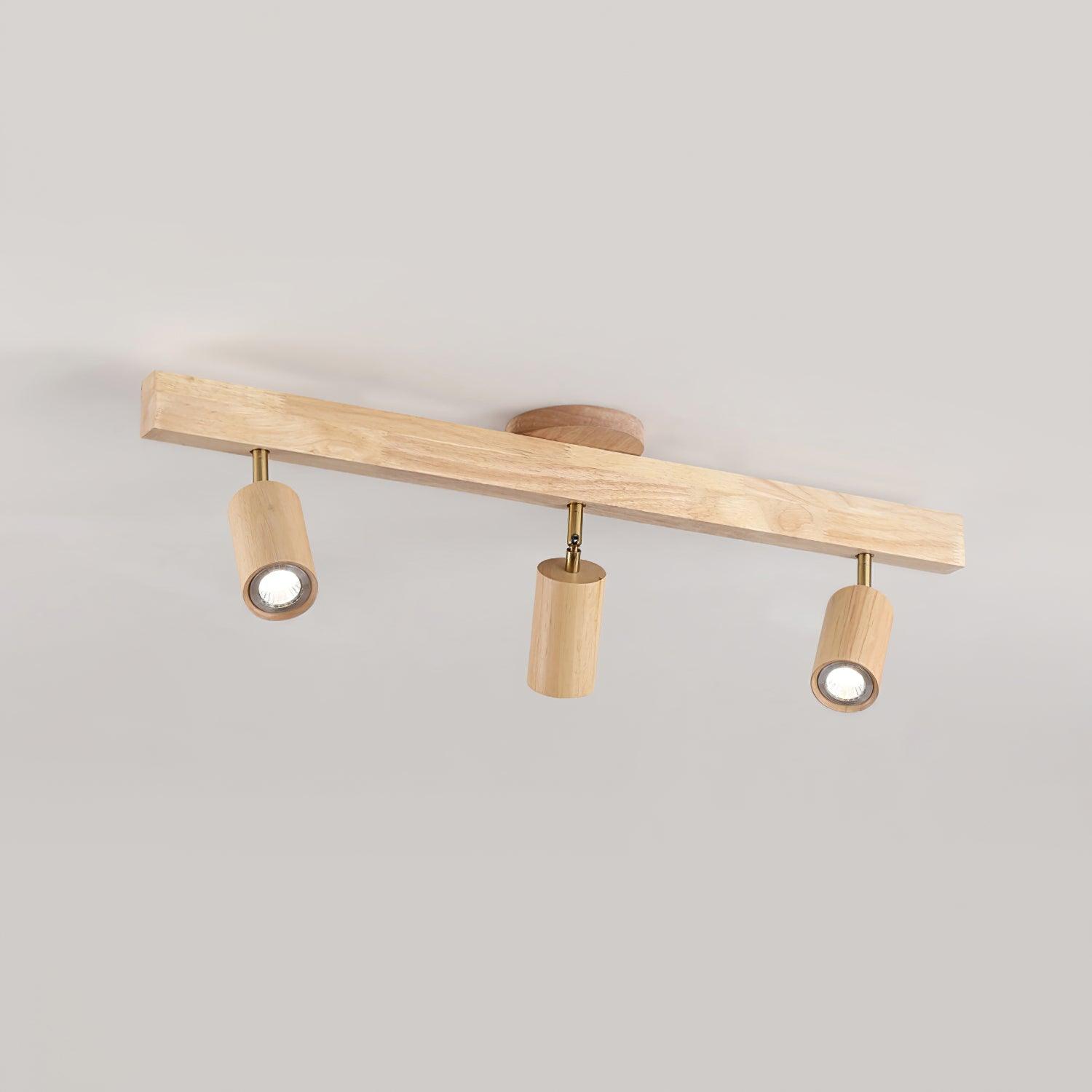 Aim Illuminazione a Binario Classica in Legno con Faretto