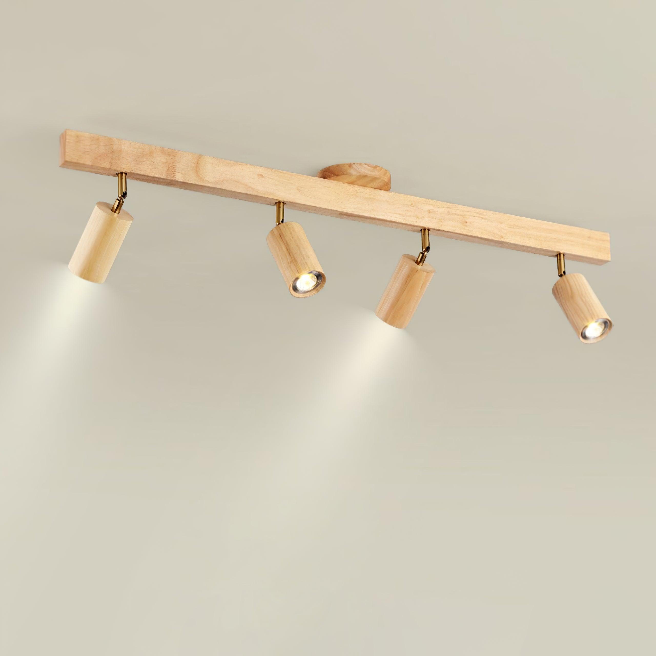 Aim Illuminazione a Binario Classica in Legno con Faretto