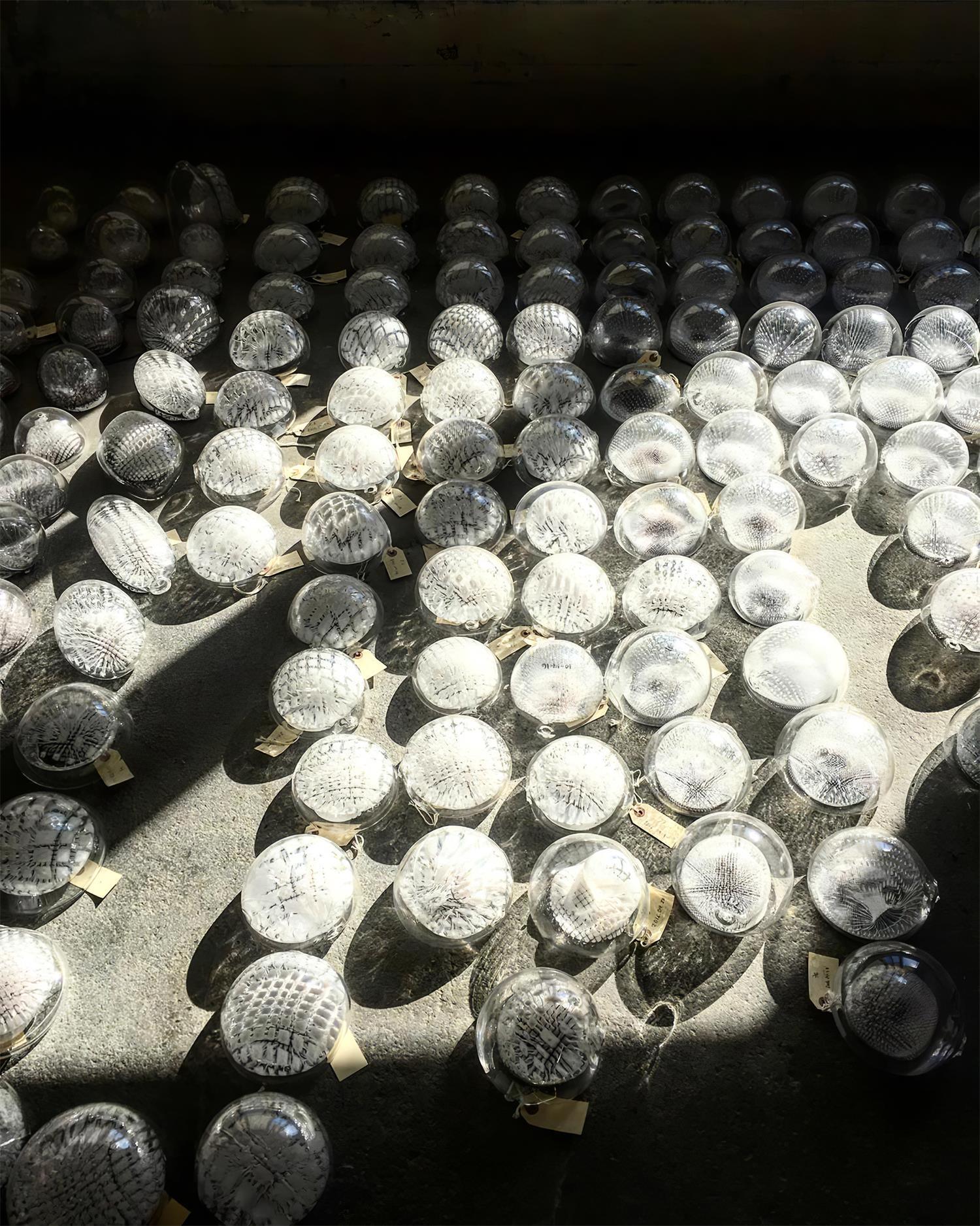 Chandelier Mesh Glass Orbs Cluster Metal Frame Modern Minimalist - Letslighting