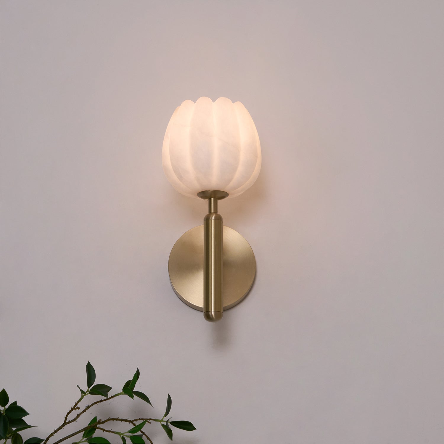 Eurzorion Floral Alabaster Brass Wall Light - Blowlighting