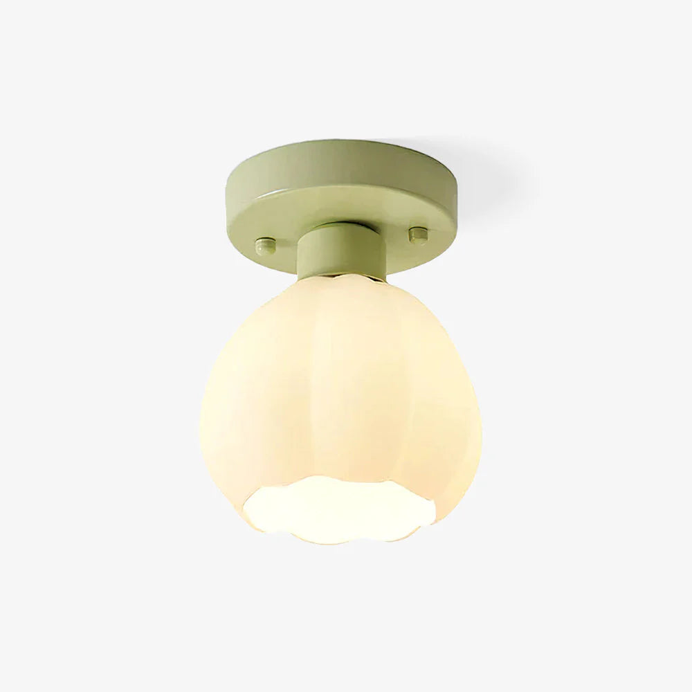 Arisha Comfort Semplicità Arishao LED Plafoniere Metallo Camera da Letto