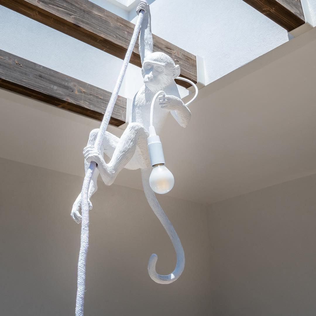 Monkey Pendant Lamp - Blowlighting