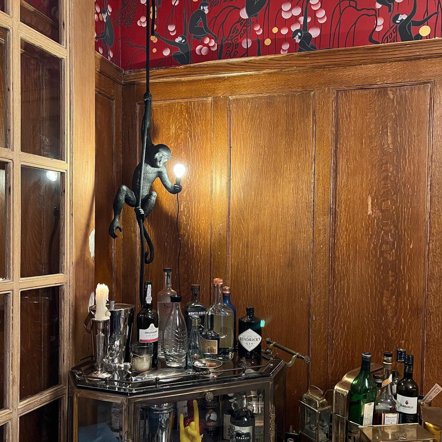 Monkey Pendant Lamp - Blowlighting