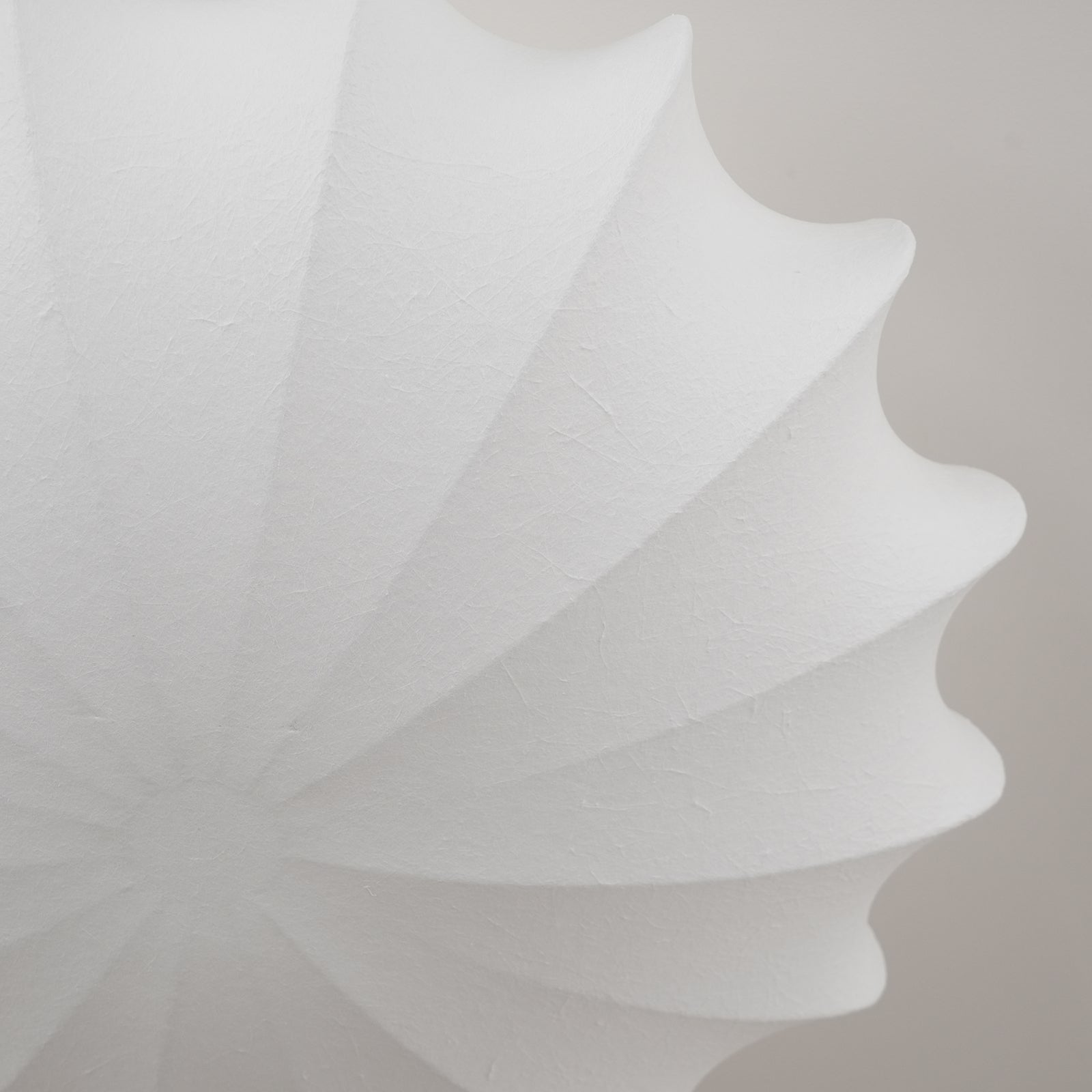 Ritta Lampada da Soffitto Semplicità con Conchiglia