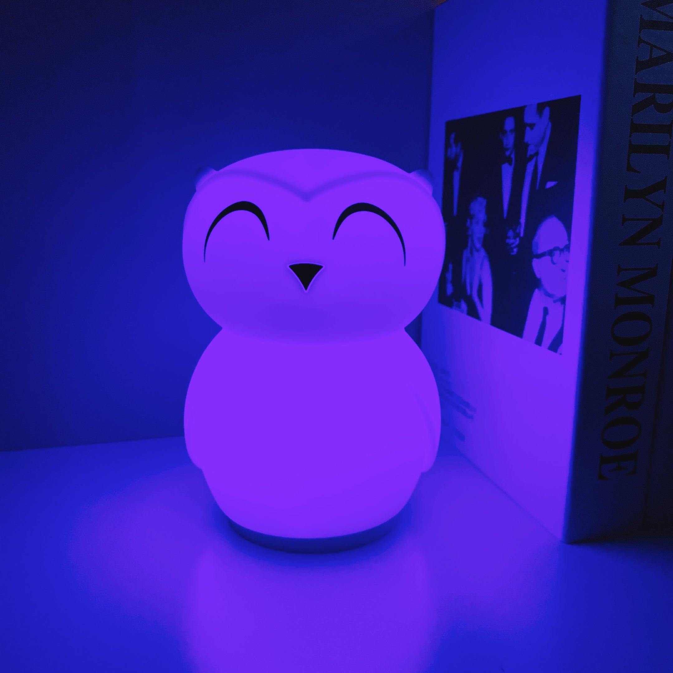 Owl Timing Night Light (built-in battery) - Lamp Copper