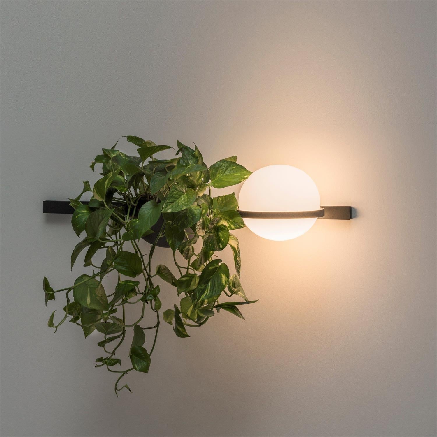 Olthaarae Modern Minimalist Plastic Metal Wall Lamp - Lamp Copper