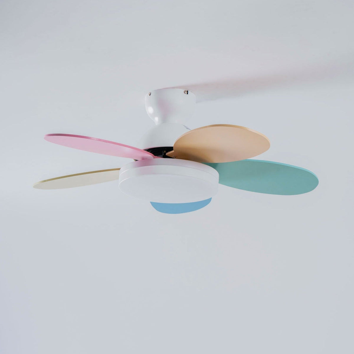 Ventilatore da soffitto con luce Liora, che dimostra la facilità di controllo