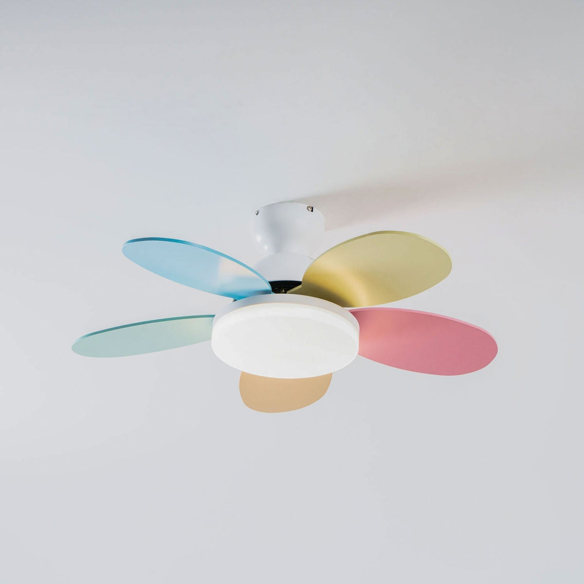 Ventilatore da soffitto con luce Liora in vetro colorato, una panoramica delle sue caratteristiche