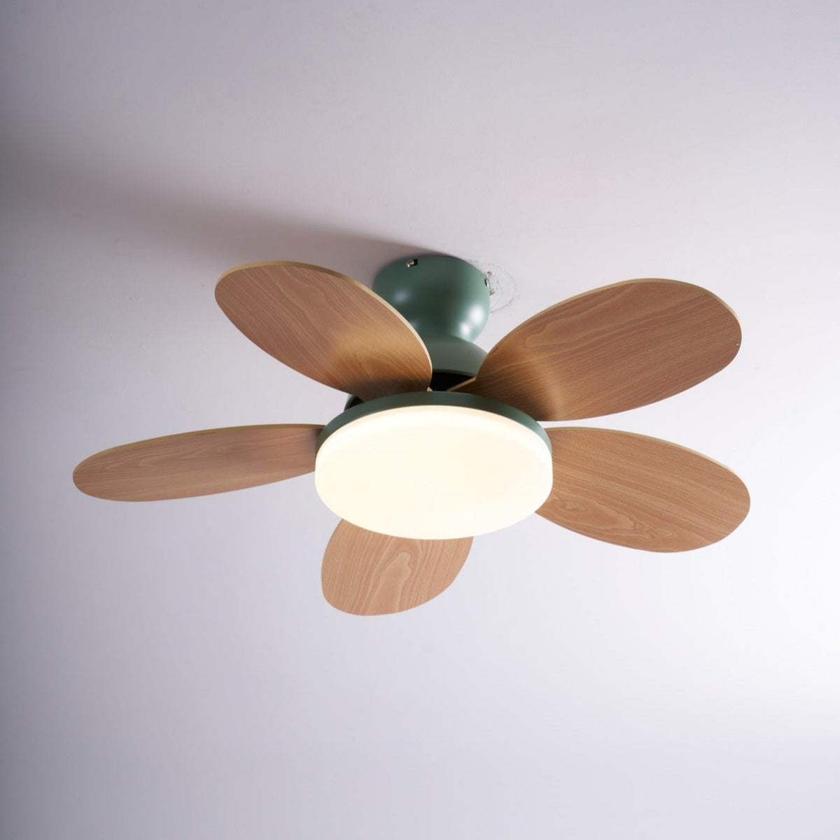 Ventilatore da soffitto con luce Liora, che mostra il montaggio a soffitto
