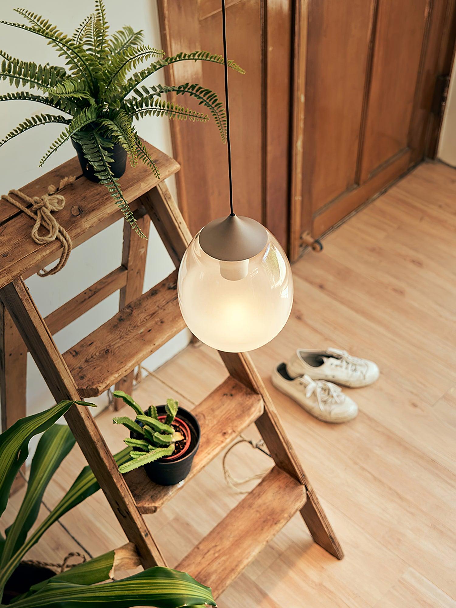 Petra Pendant Light - Blowlighting