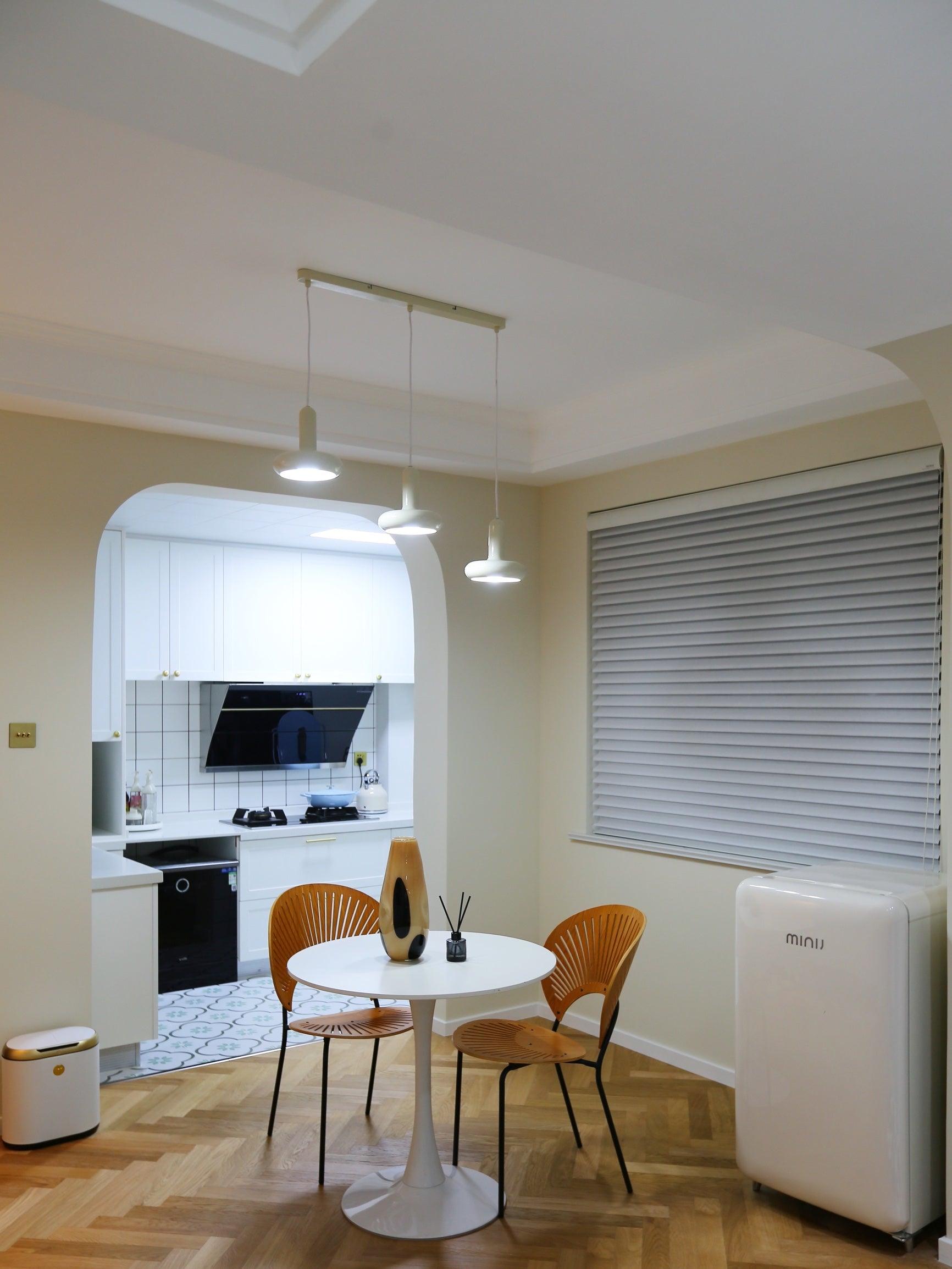 Puck Pendant Light - Blowlighting