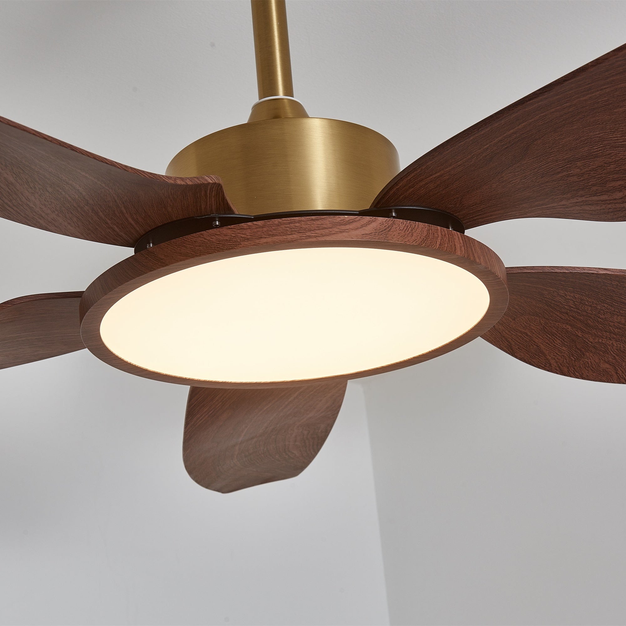 Vista dall'alto del ventilatore con luce Aurelia.