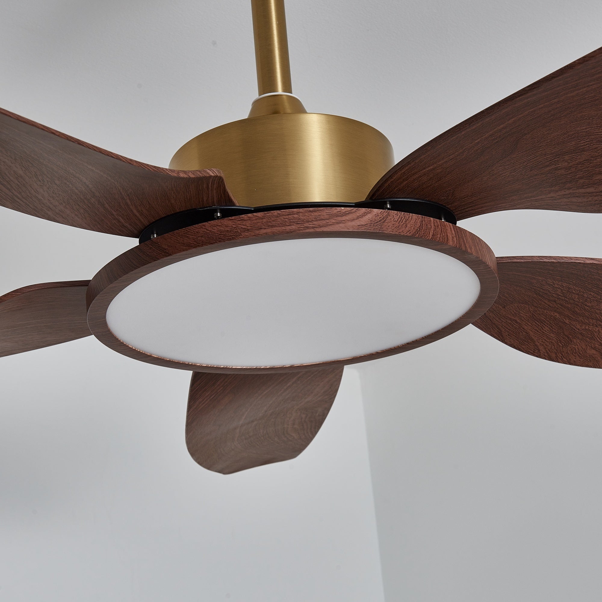 Ventilatore con luce Aurelia con telecomando.