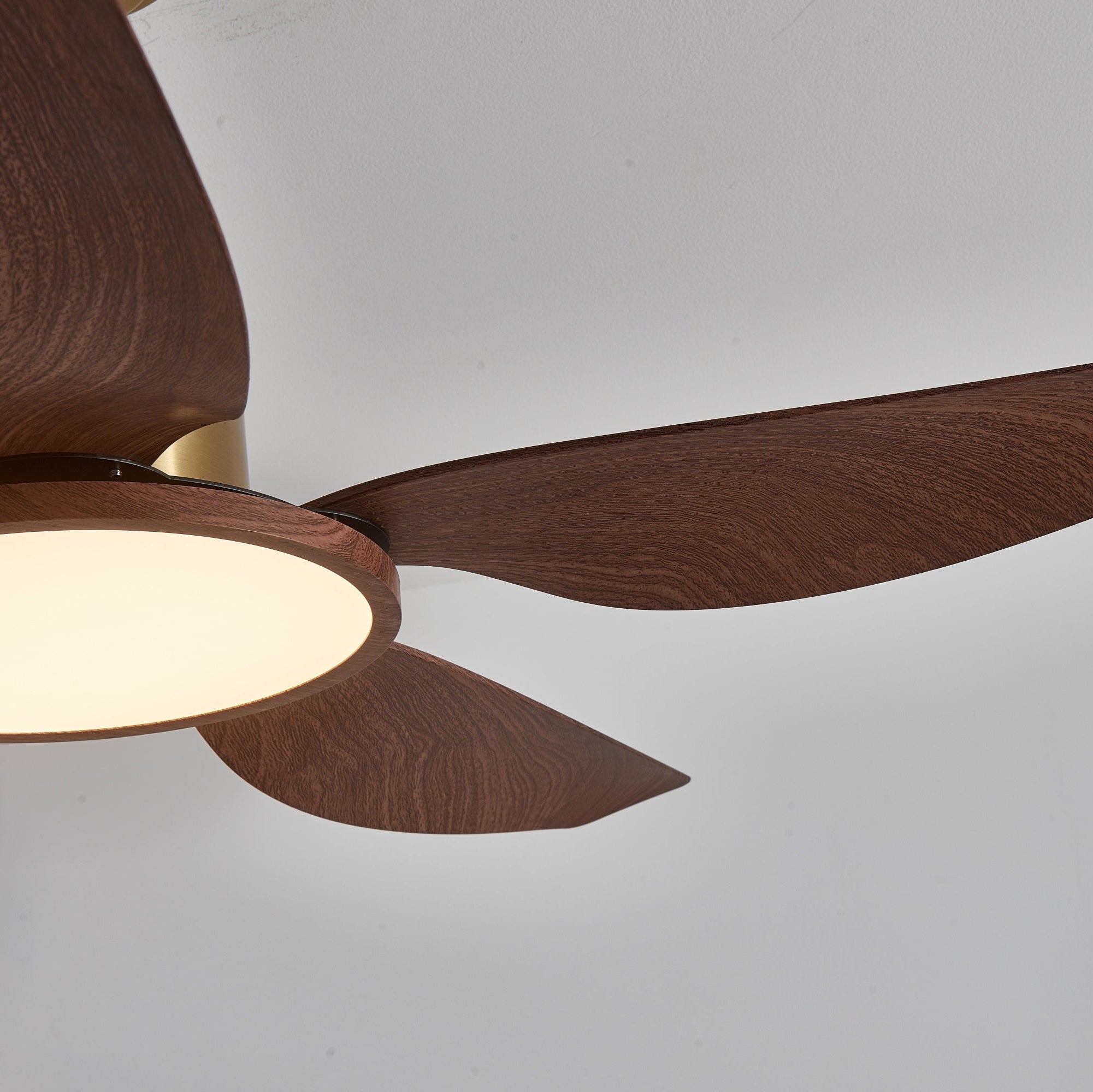 Dettaglio delle pale in ABS del ventilatore Aurelia.
