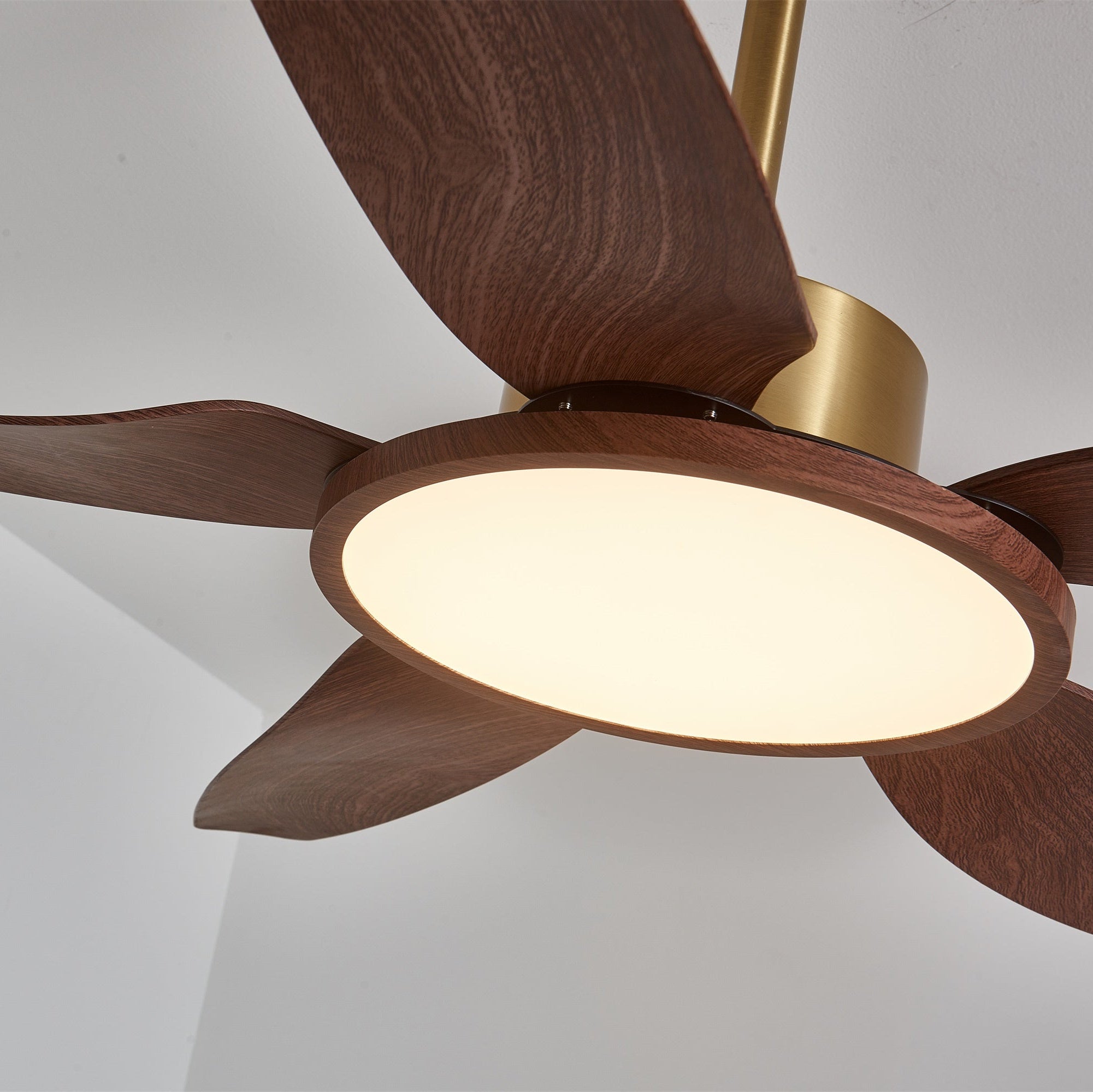 Ventilatore con luce Aurelia, che illustra il suo controllo a 6 velocità.