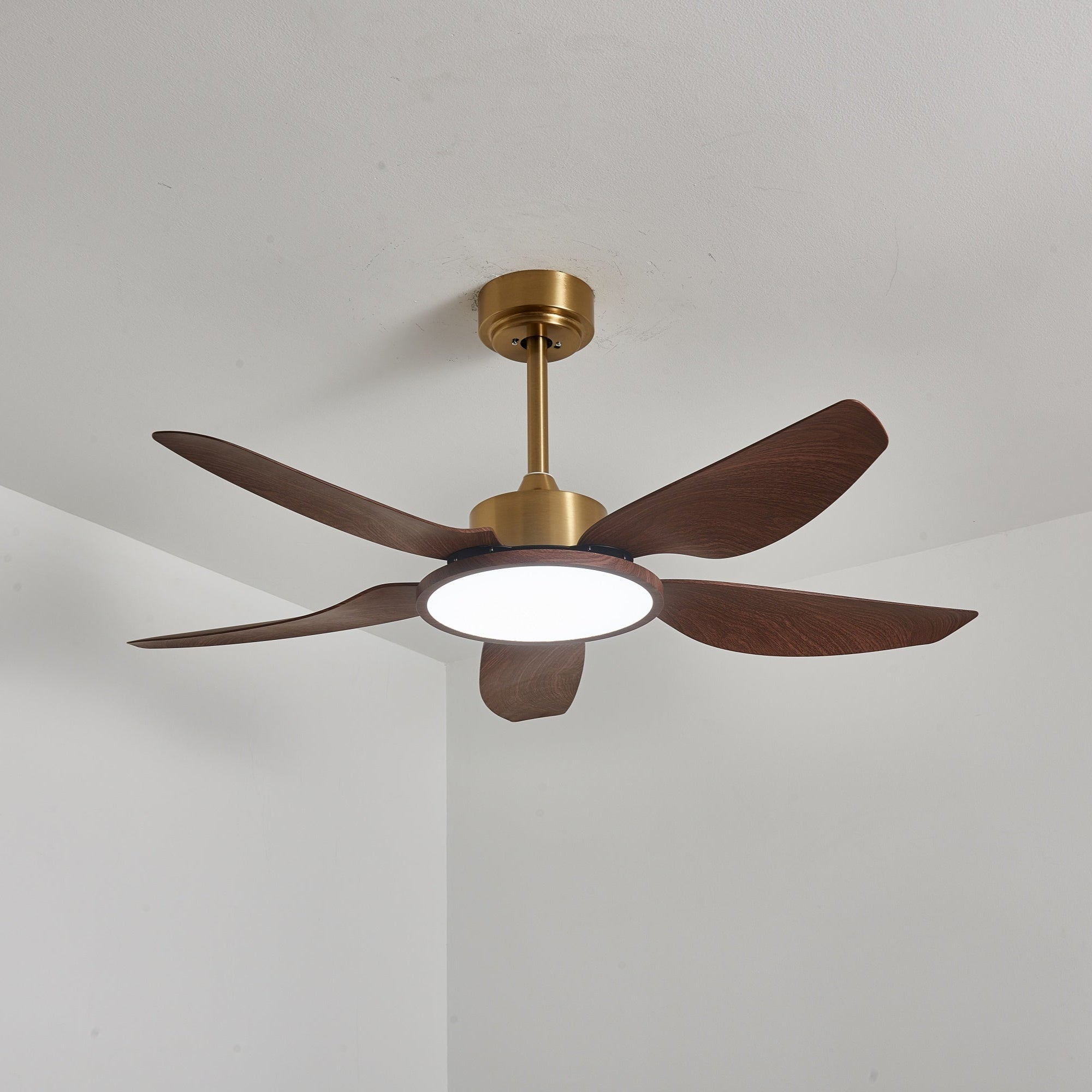 Ventilatore con luce Aurelia, che dimostra la sua potenza a frequenza variabile.