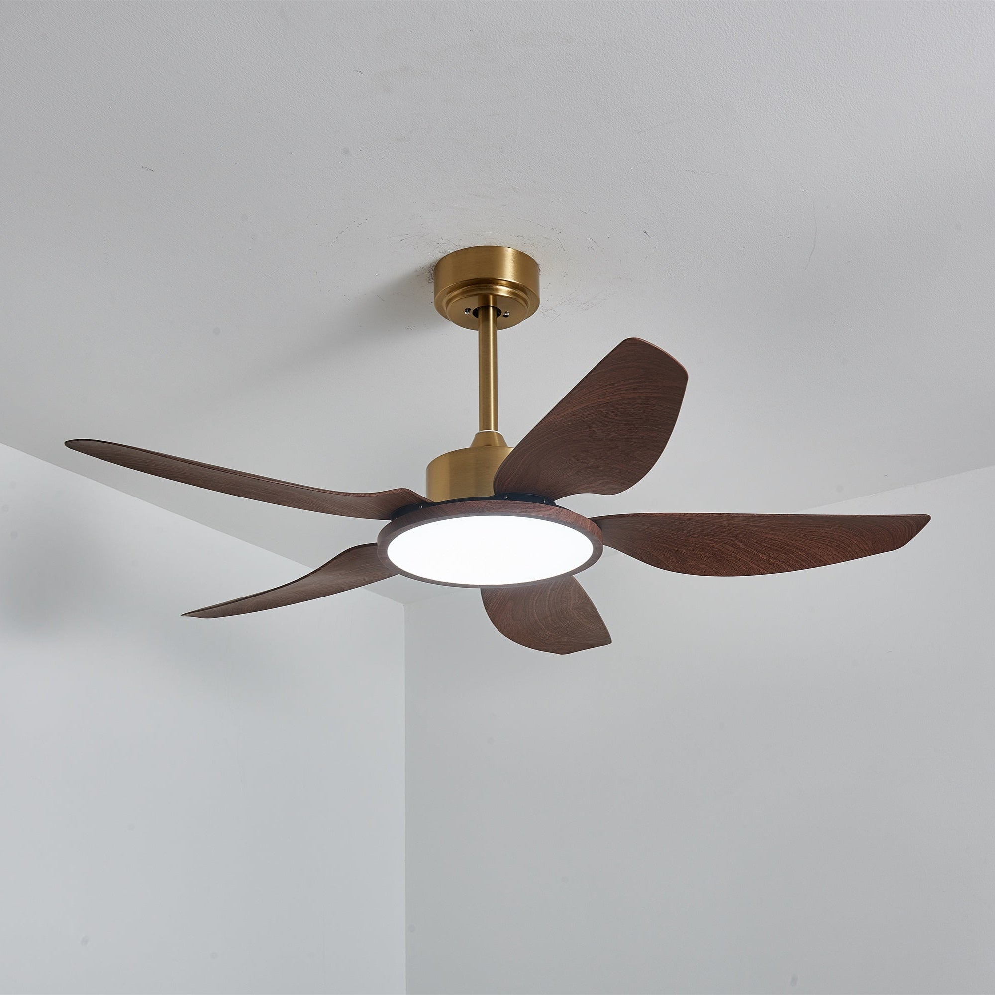 Ventilatore da Soffitto Aurelia con pale estese.