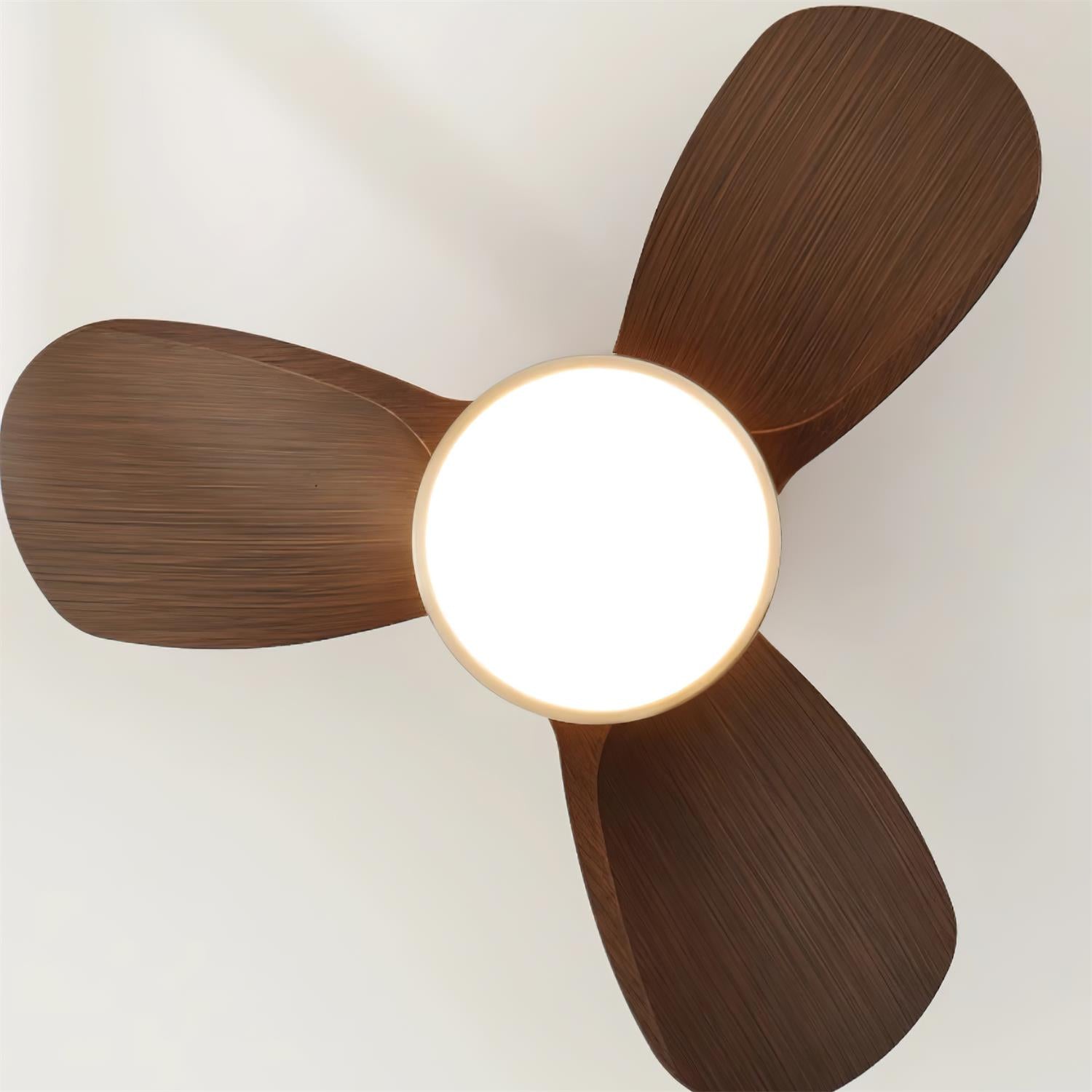 Ventilatore da soffitto Ventra con luce e il suo motore in rame puro visibile