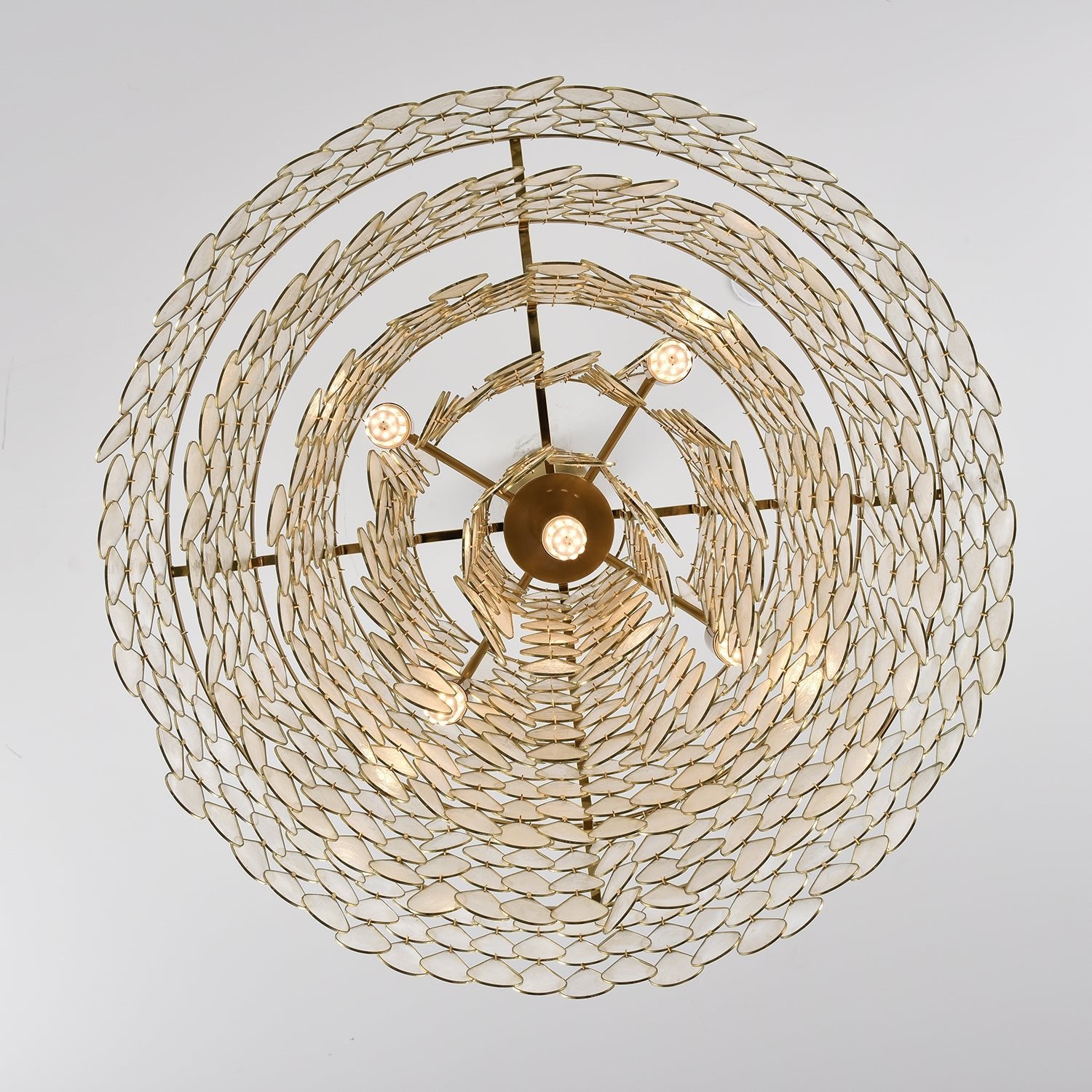 Teardrops Shell Chandelier - Blowlighting