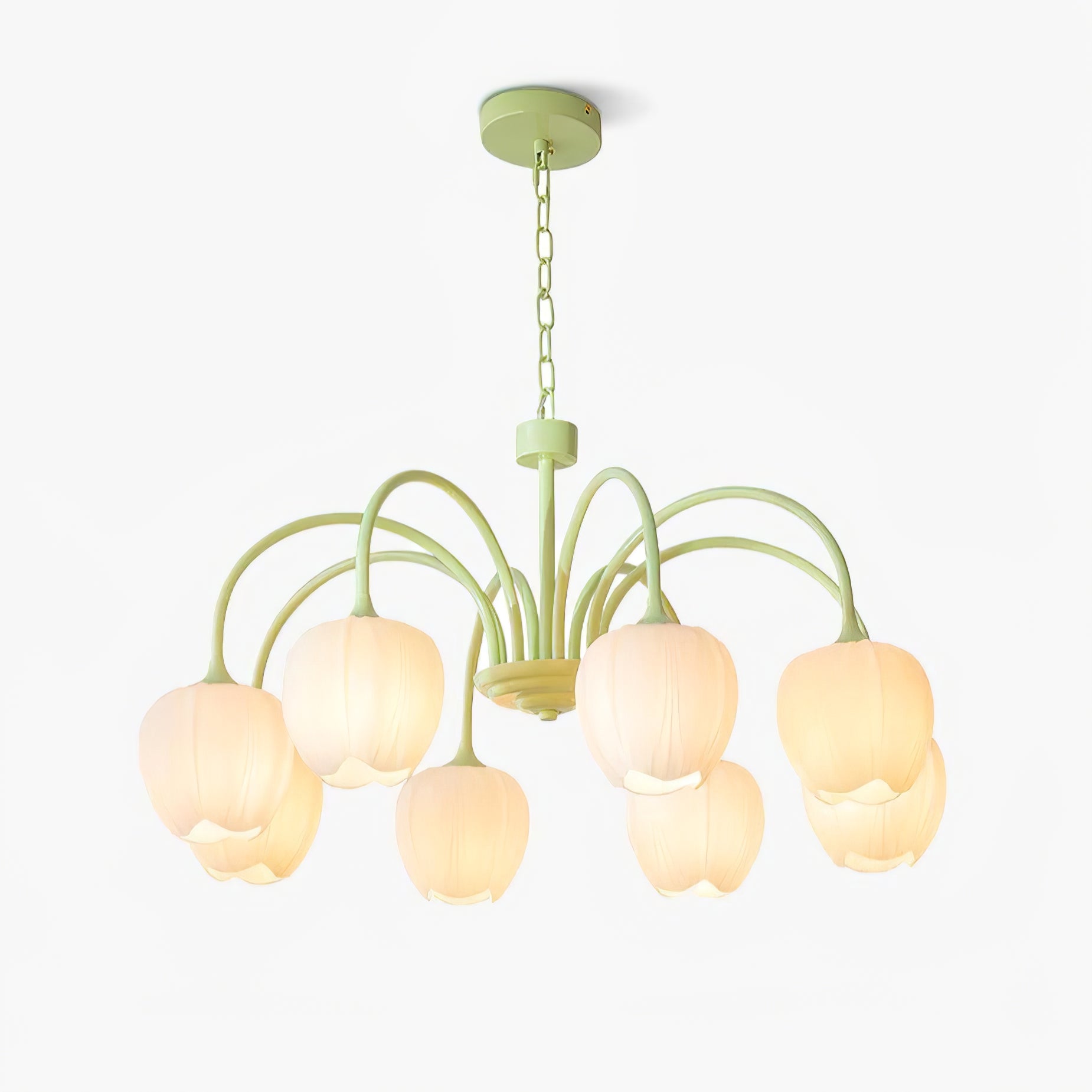 Aria Lampadari a Forma di Tulipano Fresco
