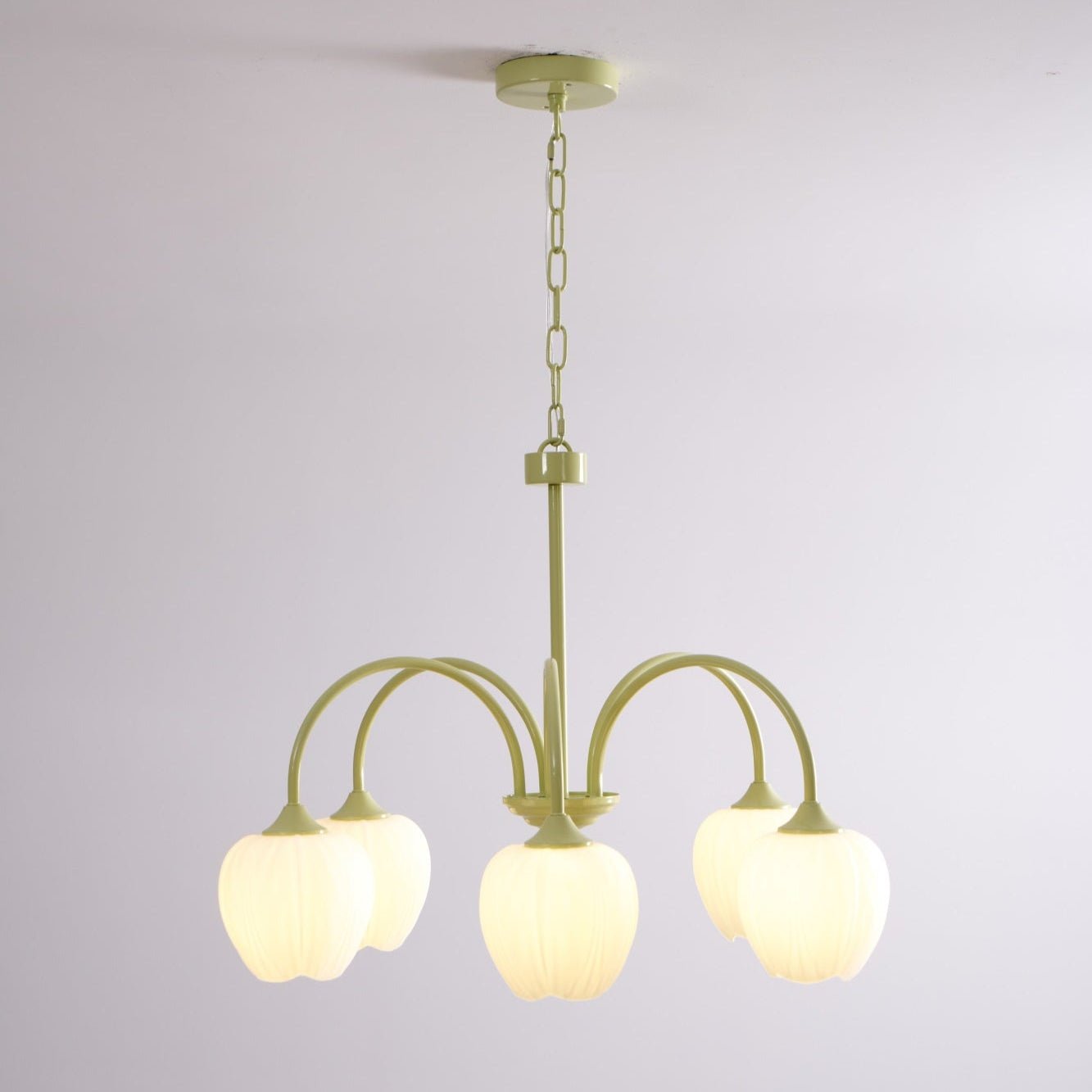 Aria Lampadari a Forma di Tulipano Fresco