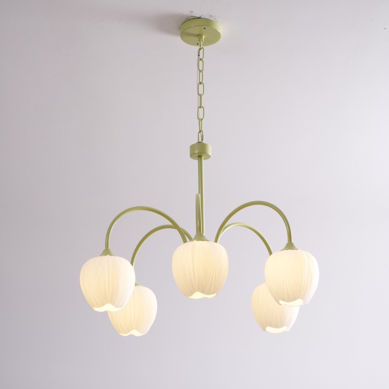 Aria Lampadari a Forma di Tulipano Fresco