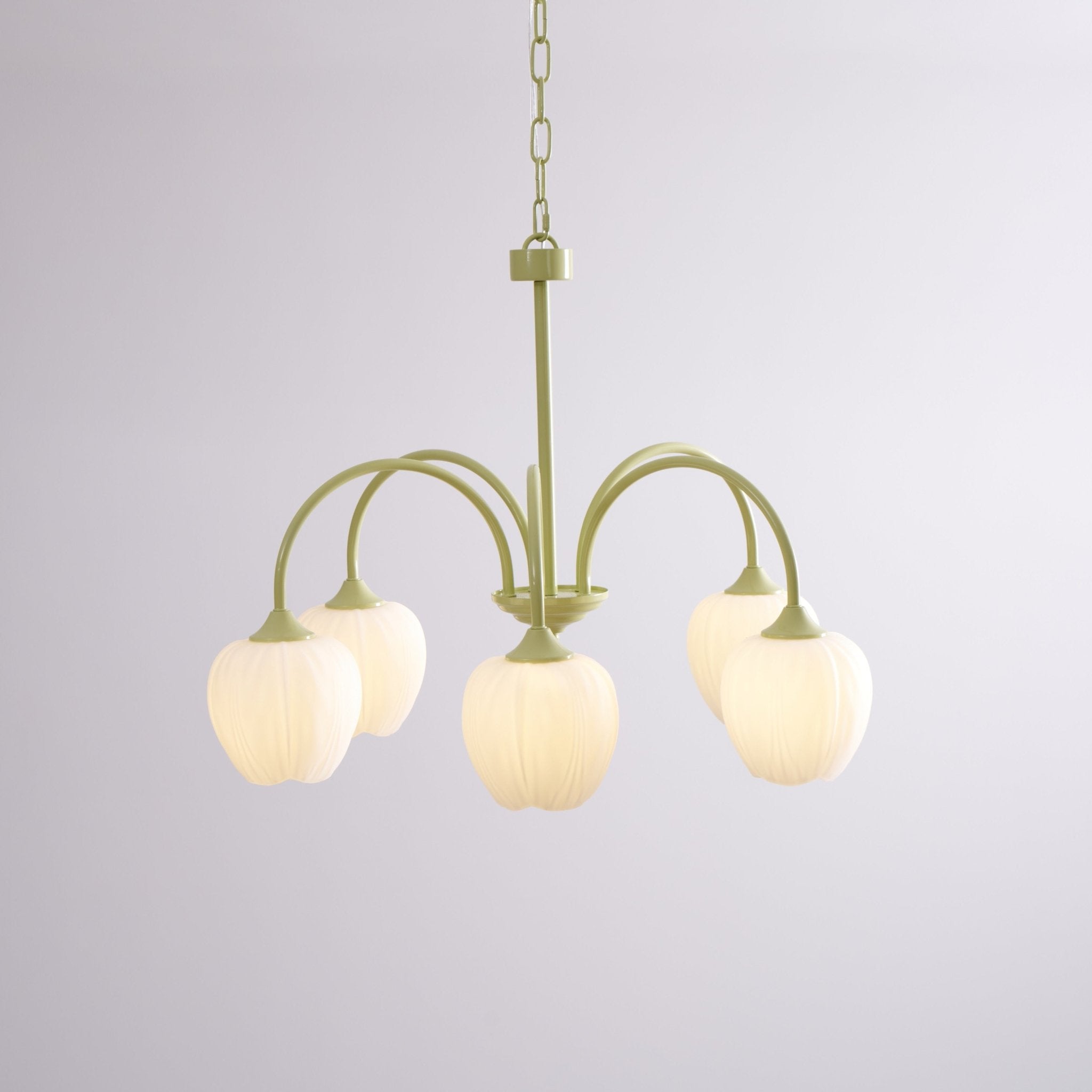 Aria Lampadari a Forma di Tulipano Fresco