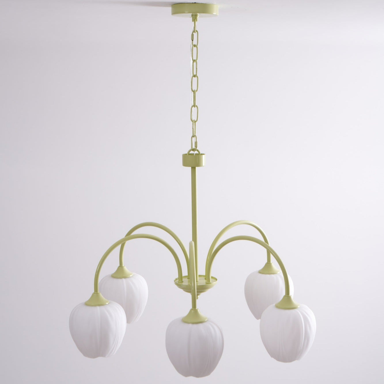 Aria Lampadari a Forma di Tulipano Fresco